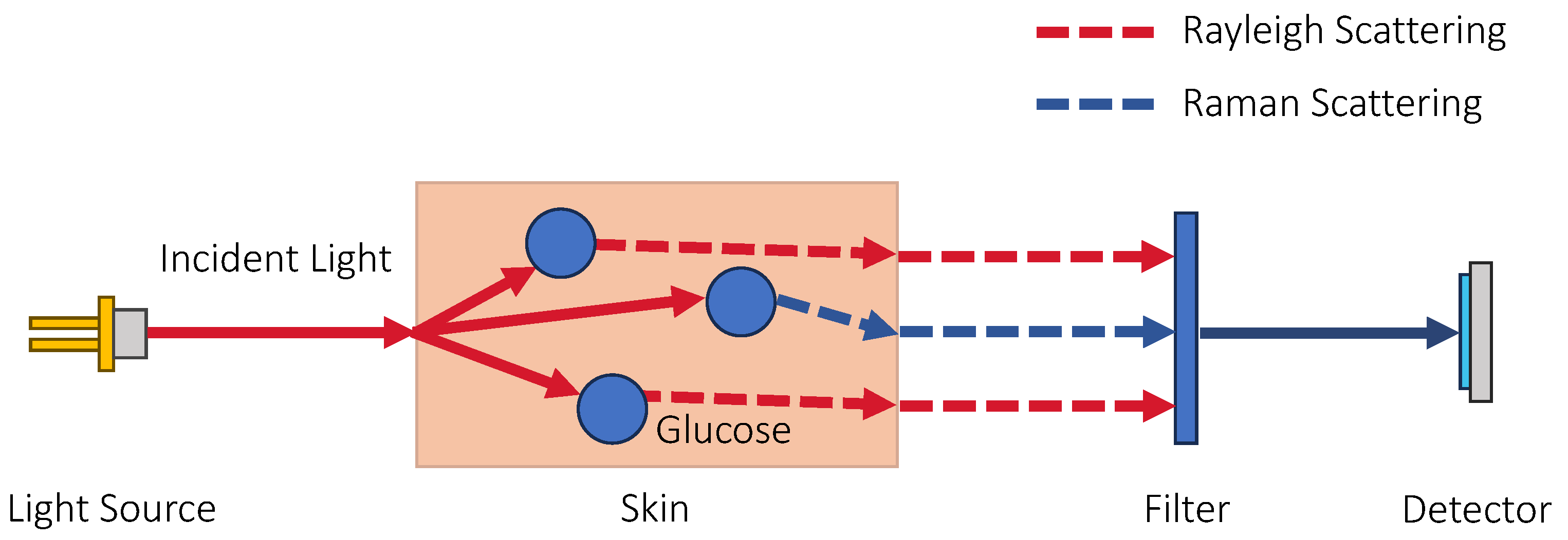 Sensors 23 07057 g005 Sensors 23 07057 g005