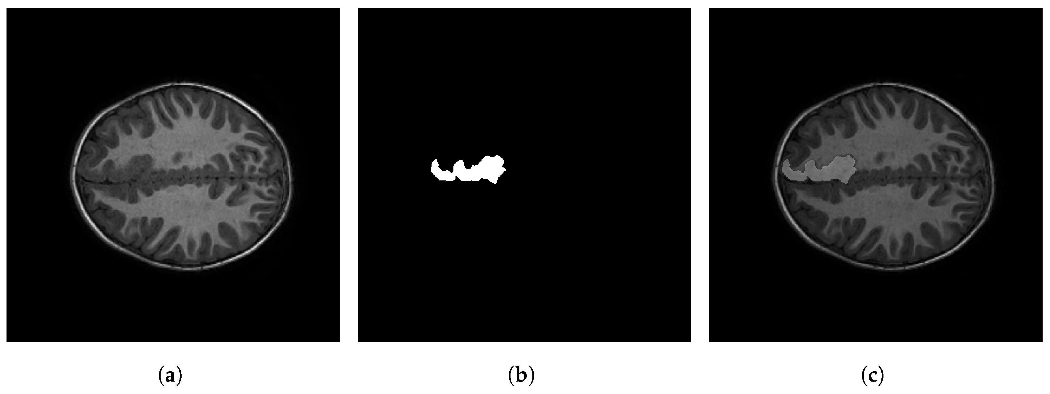 Sensors 23 07072 g001 Sensors 23 07072 g001