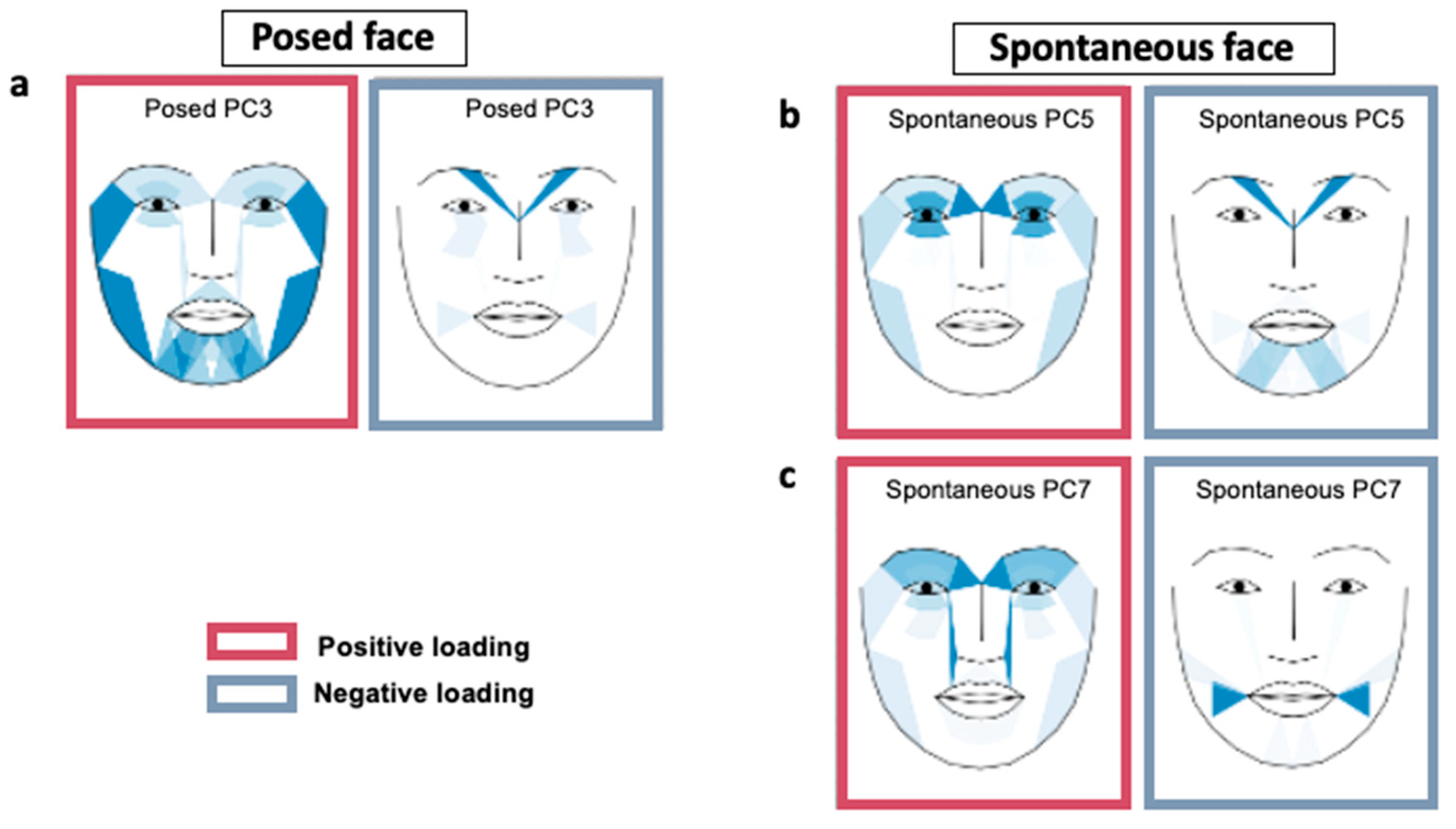 Sensors 23 07080 g001 Sensors 23 07080 g001