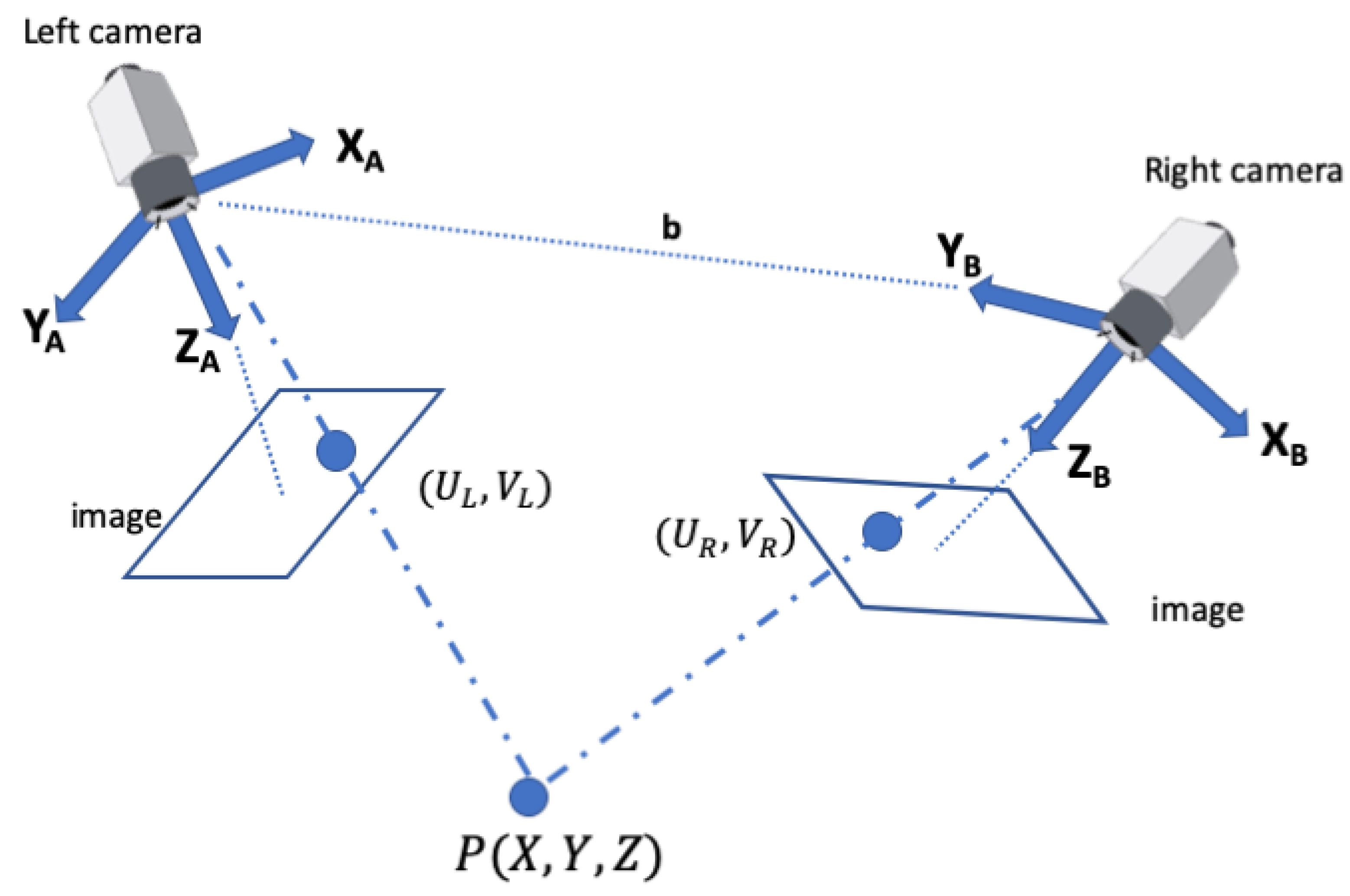 Sensors 23 07110 g002