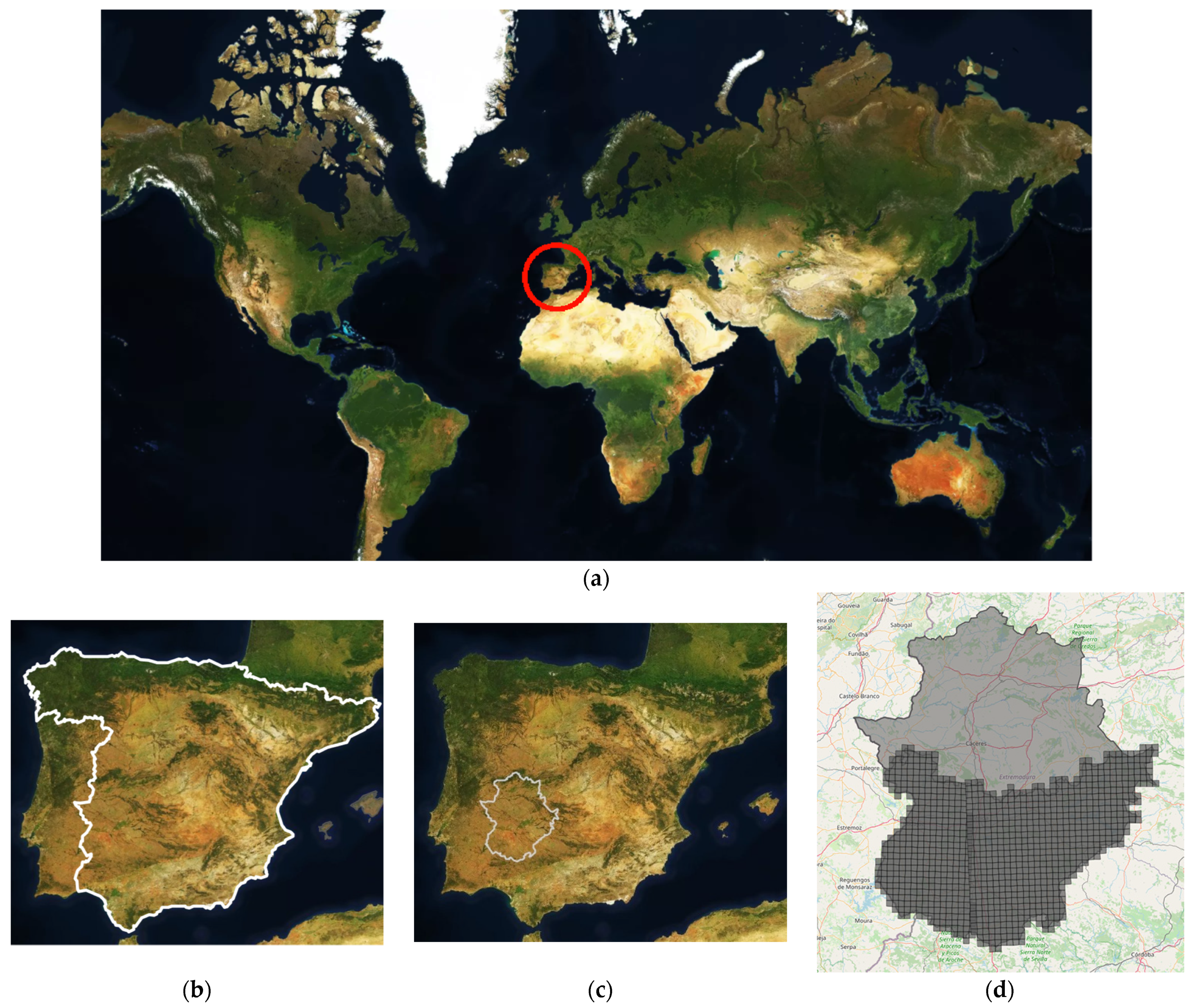 Sensors 23 07132 g002