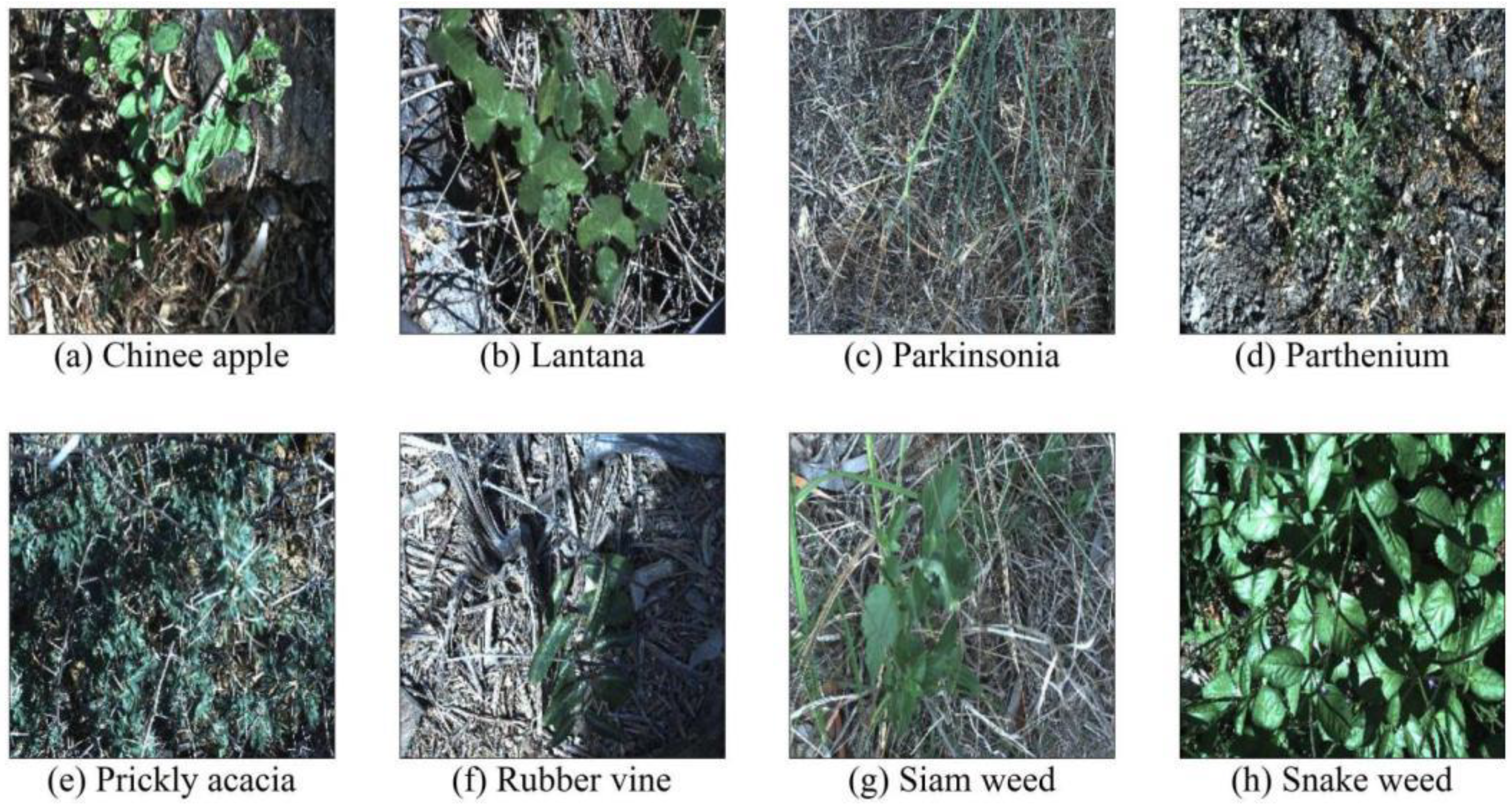 Sensors 23 07153 g001