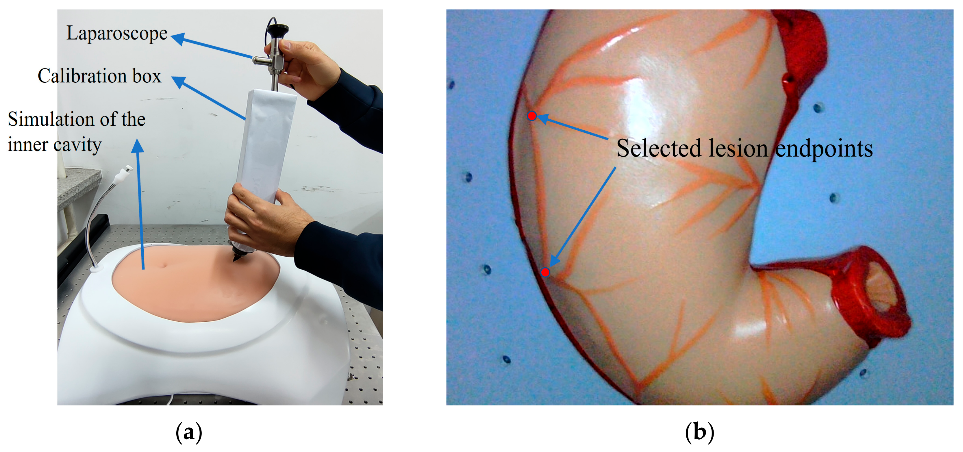 Sensors 23 07188 g010