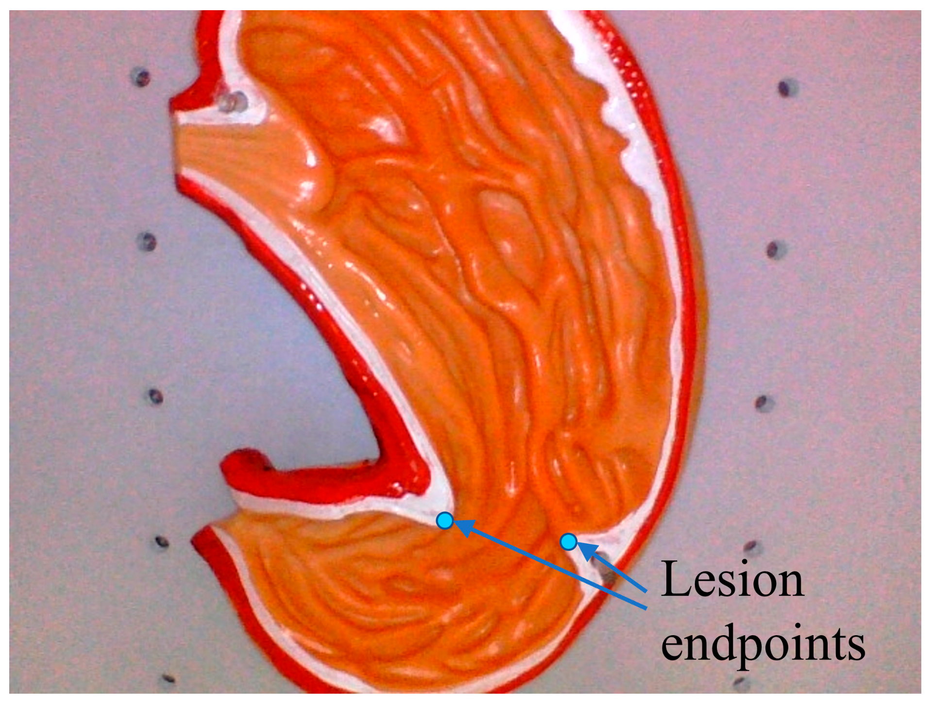 Sensors 23 07188 g012