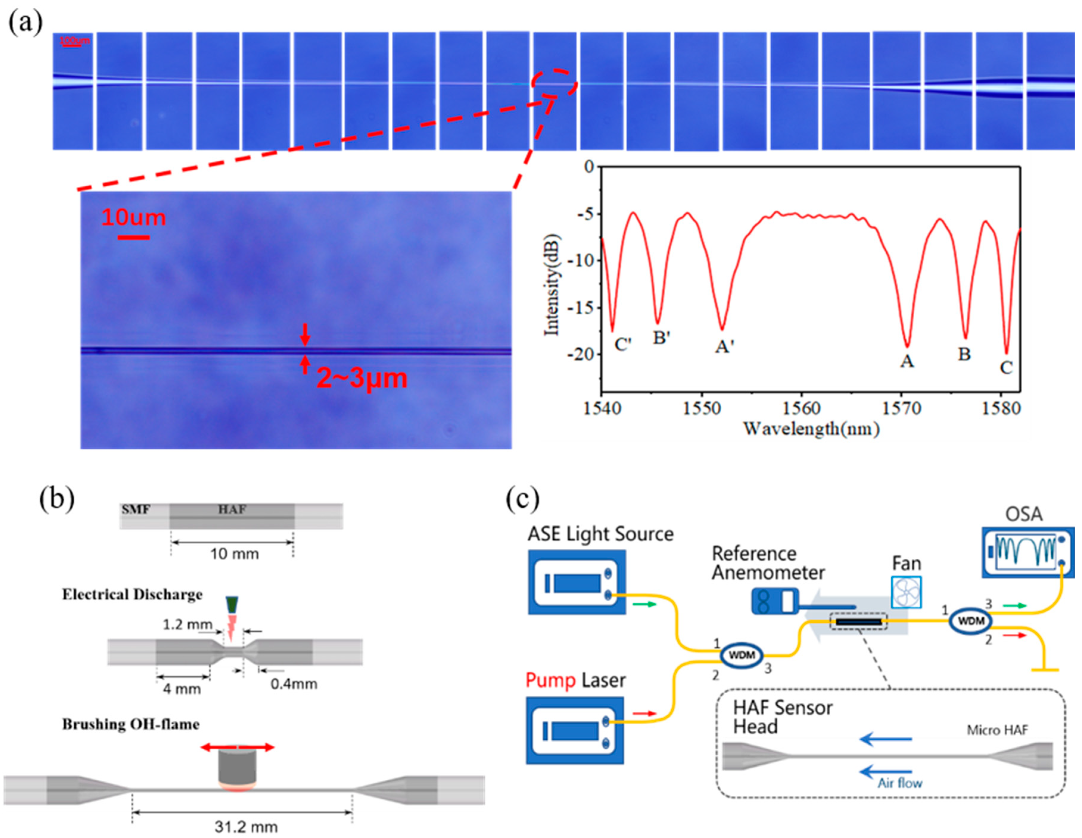 Sensors 23 07279 g002