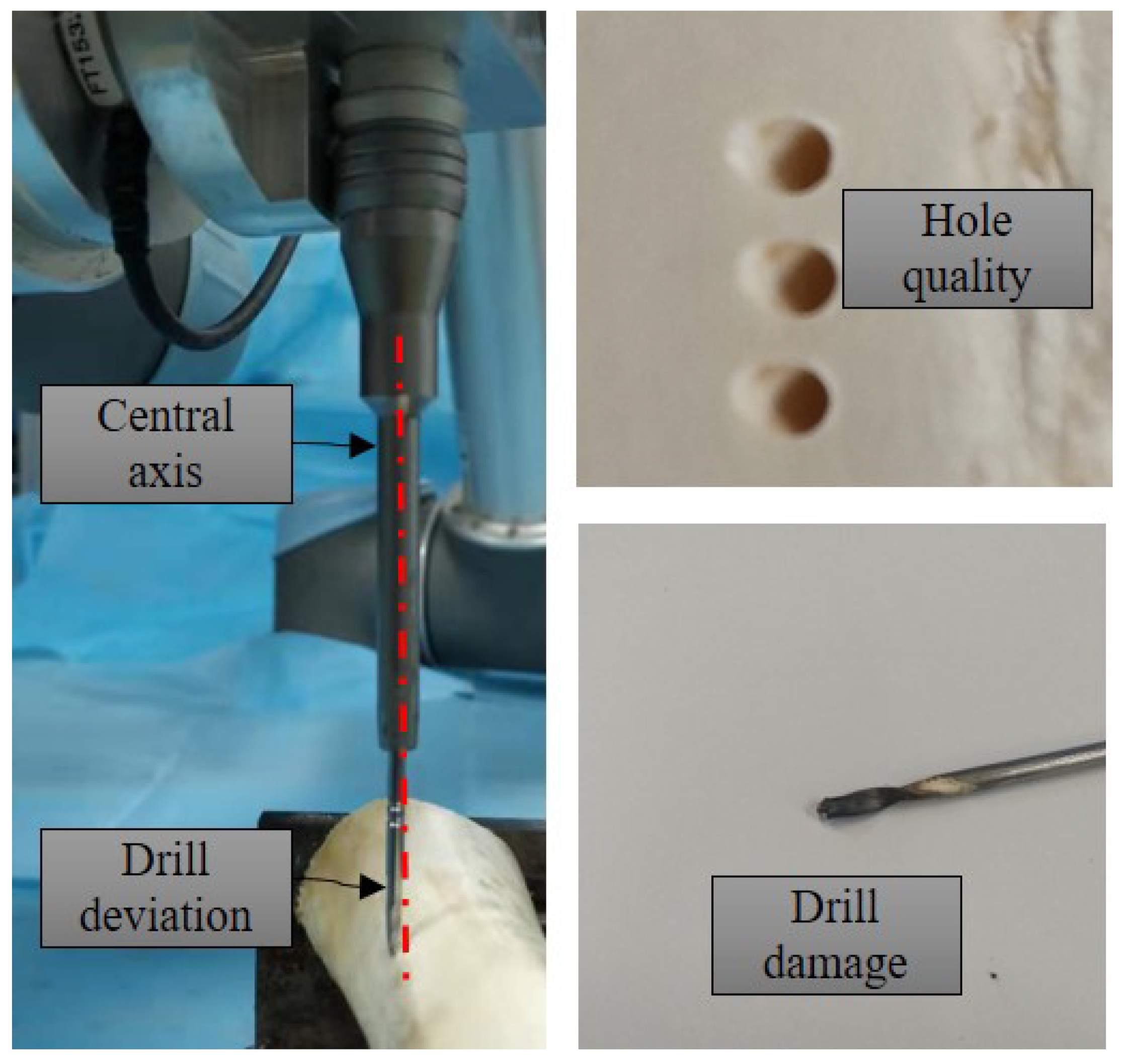 Sensors 23 07307 g001