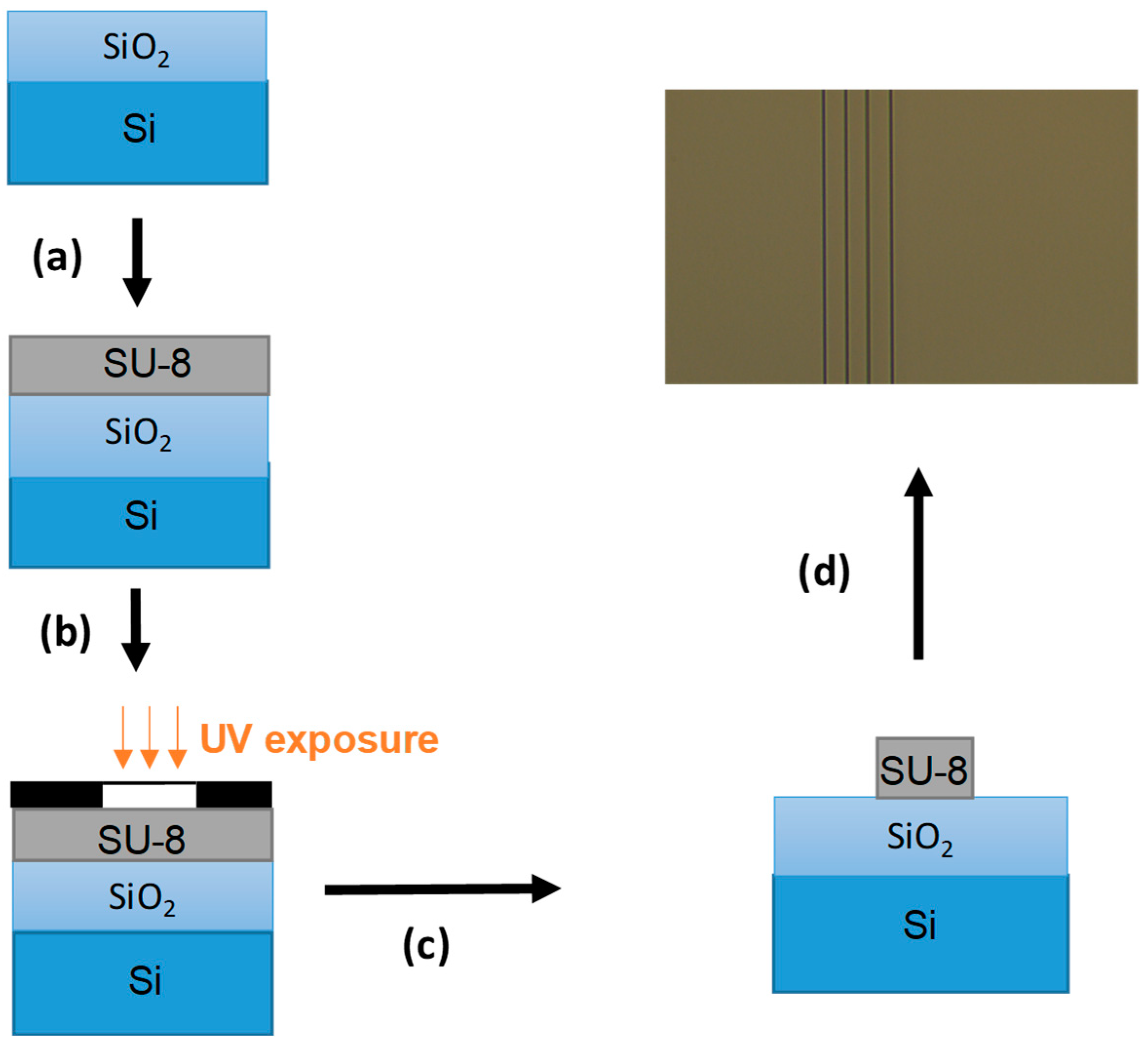 Sensors 23 07373 g005 Sensors 23 07373 g005