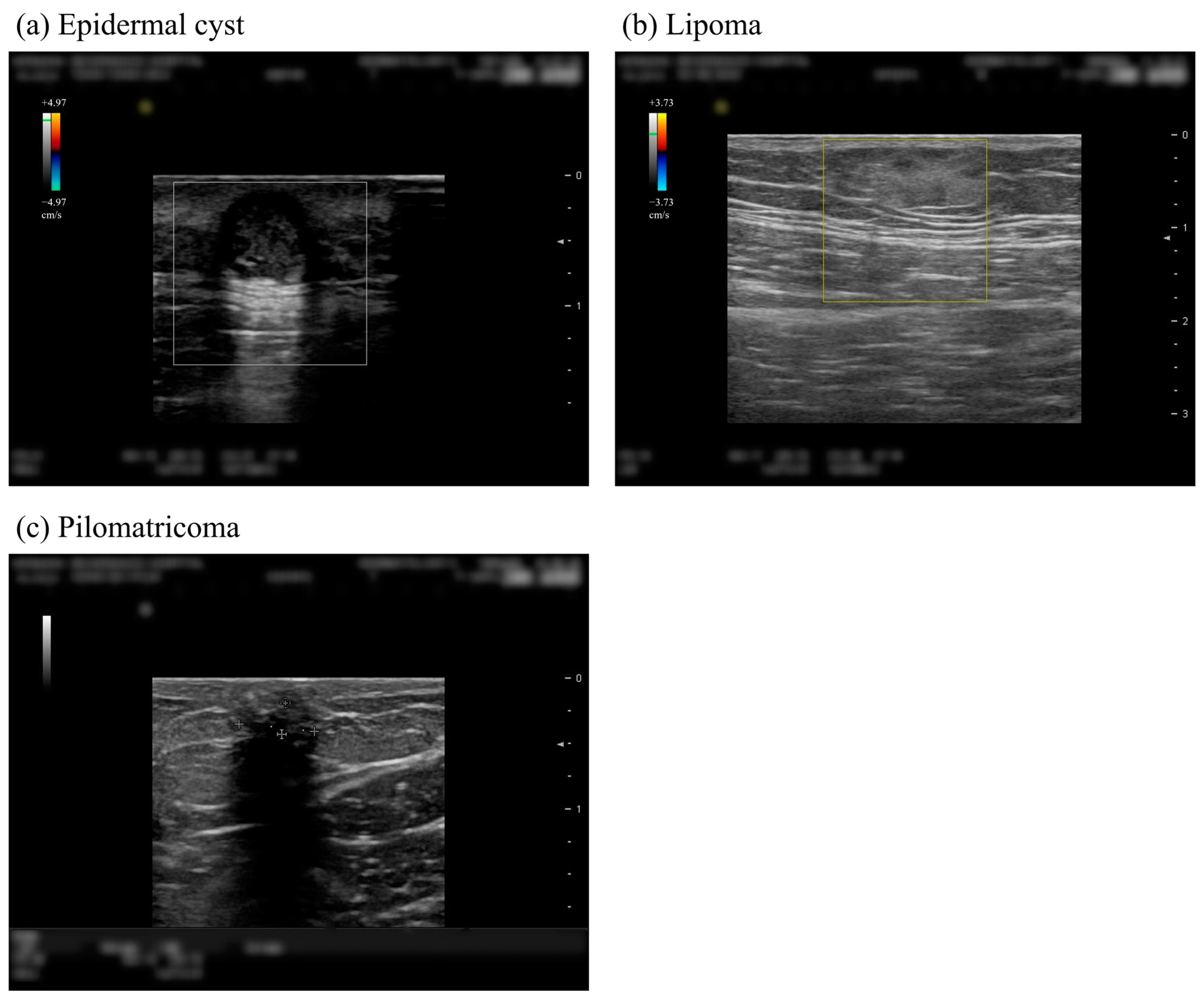 Sensors 23 07374 g001