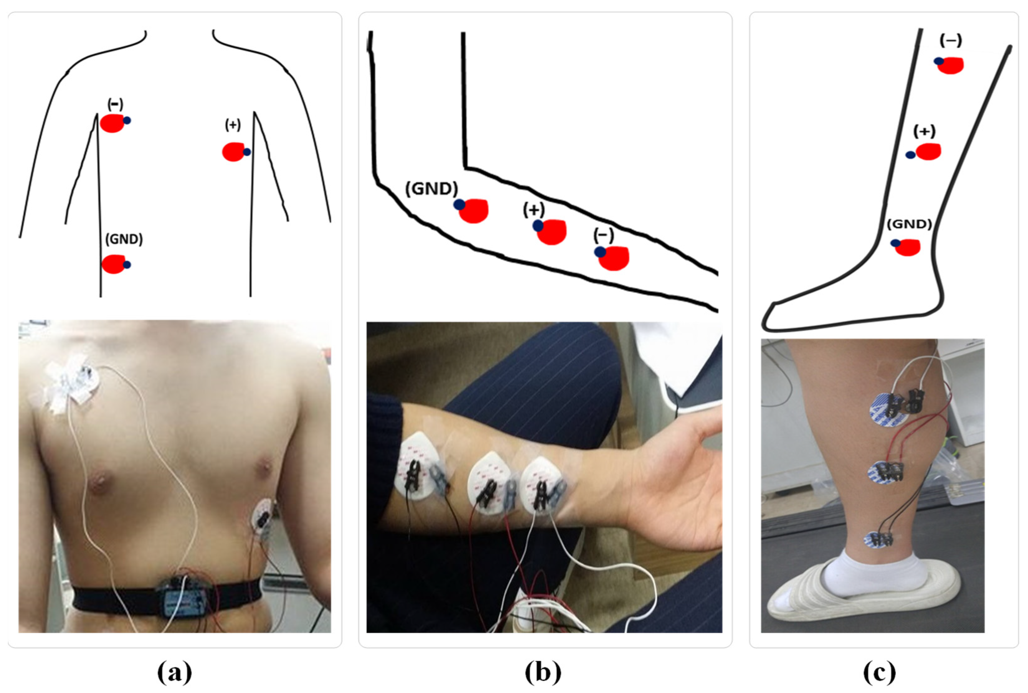 Sensors 23 07377 g001 Sensors 23 07377 g001