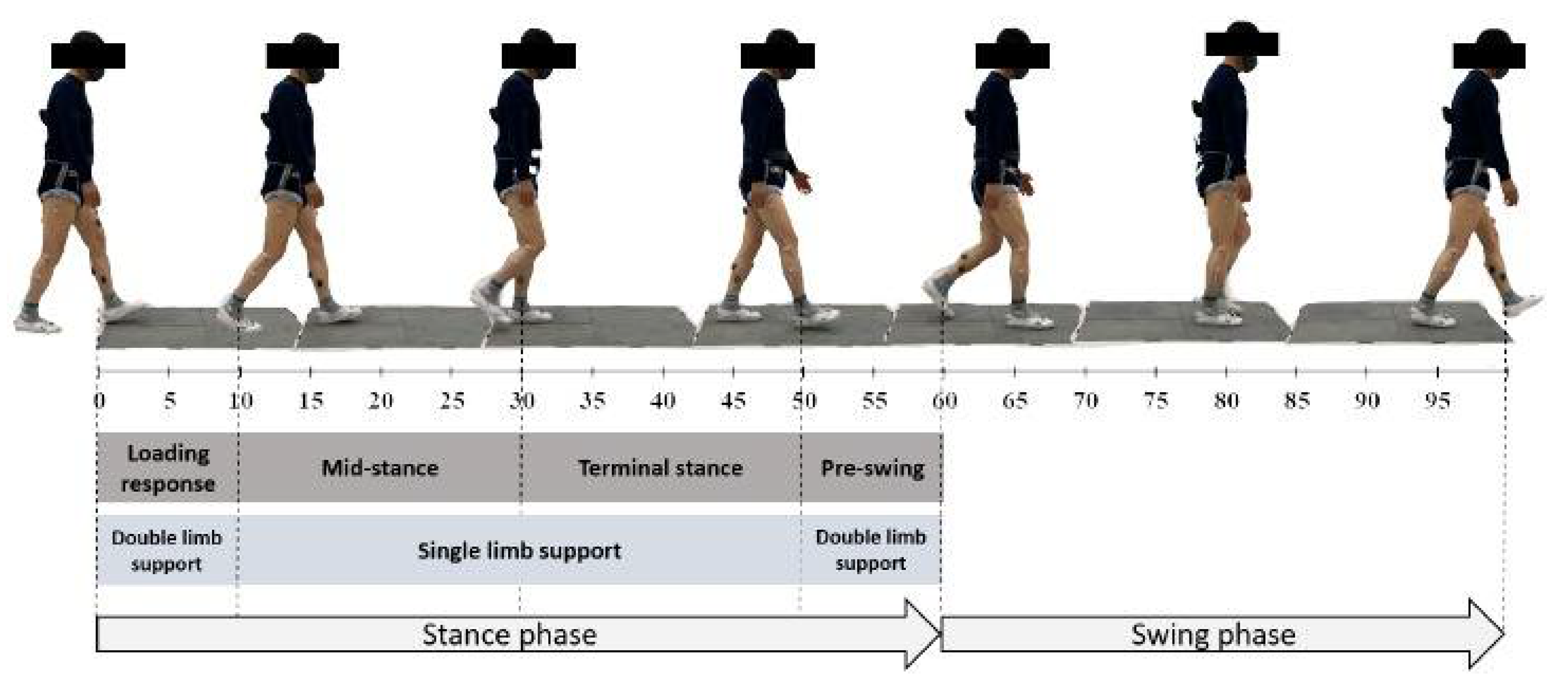 Sensors 23 07384 g001