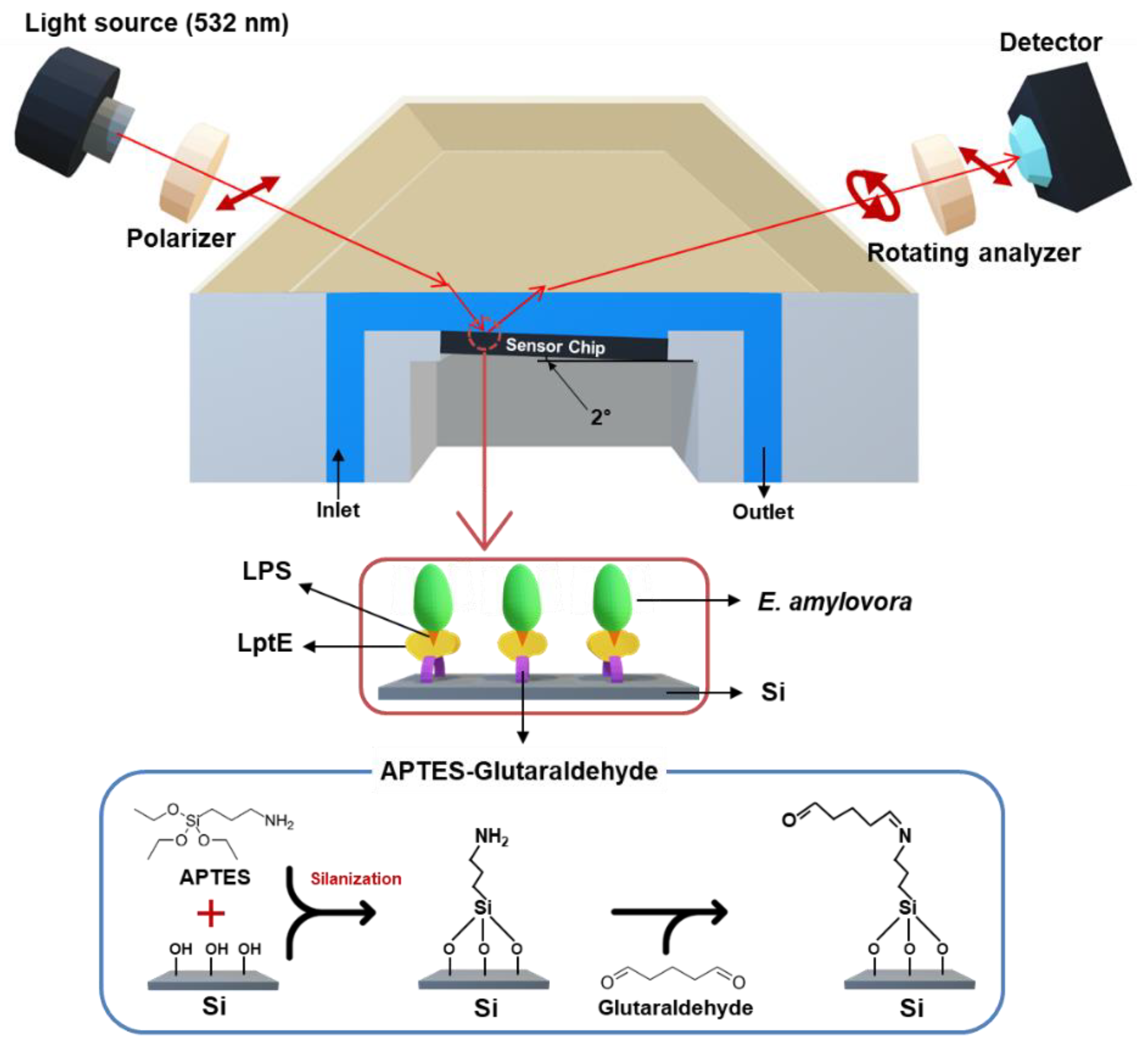 Sensors 23 07400 g001