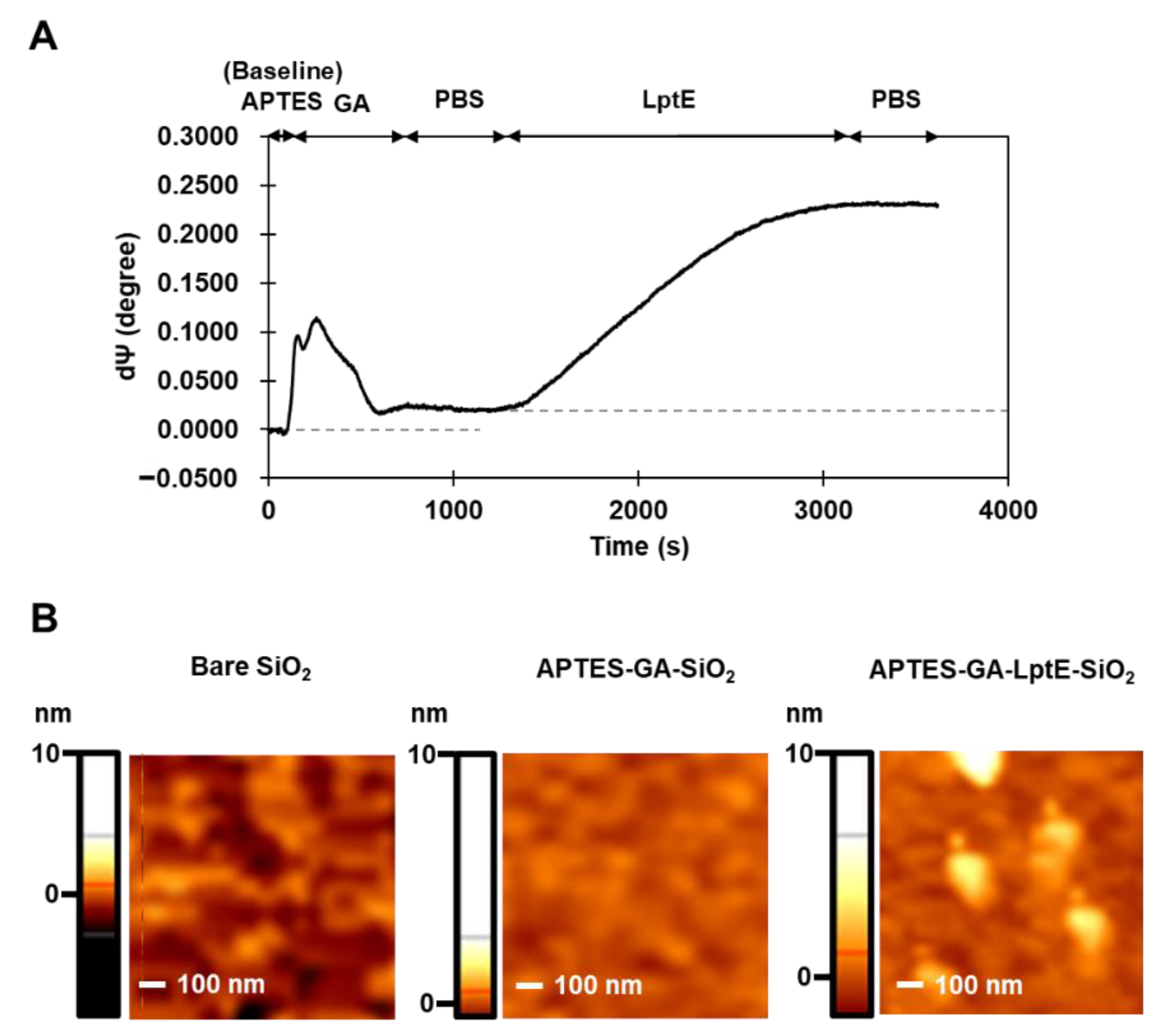 Sensors 23 07400 g005