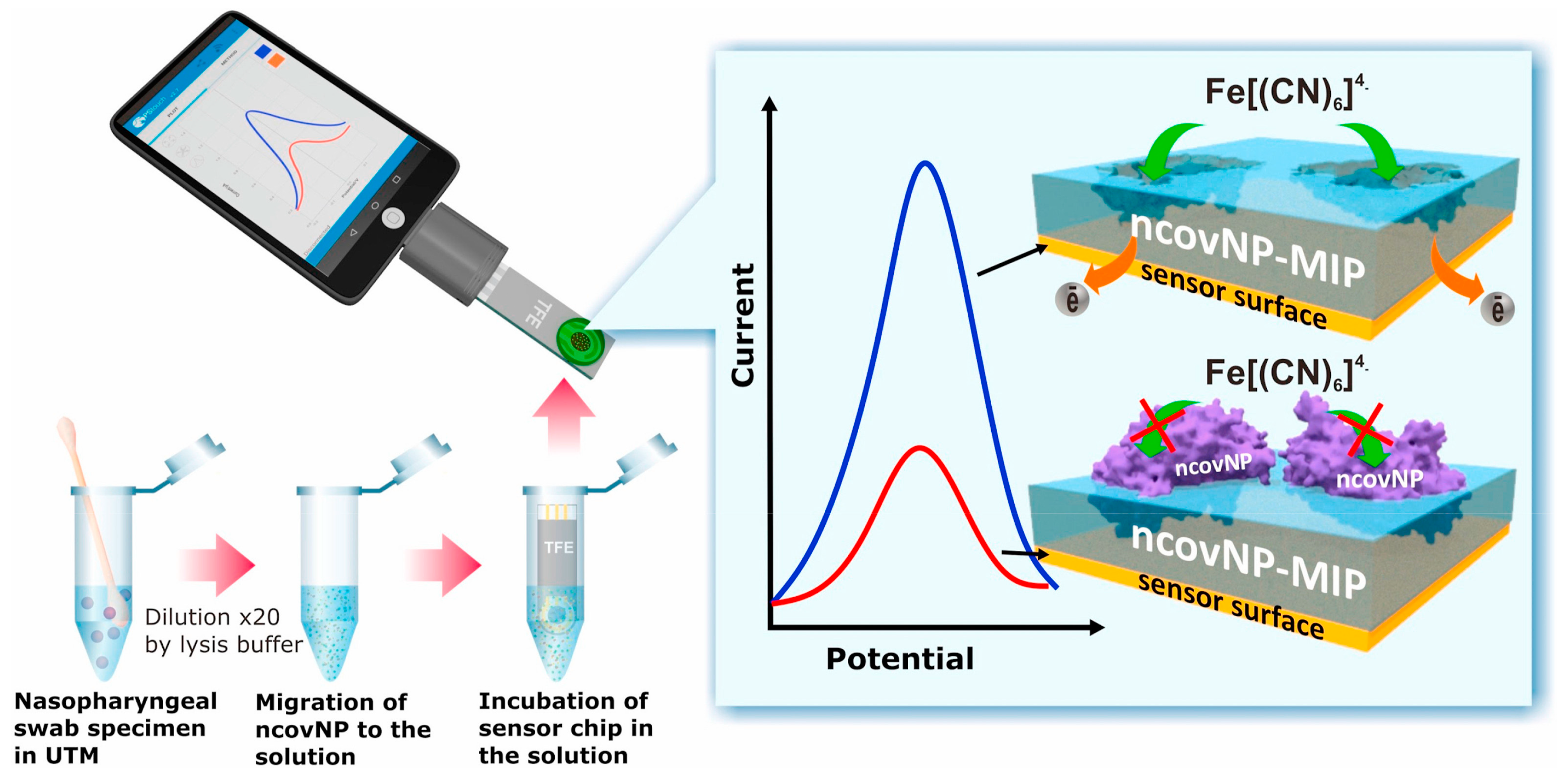 Sensors 23 07457 g005