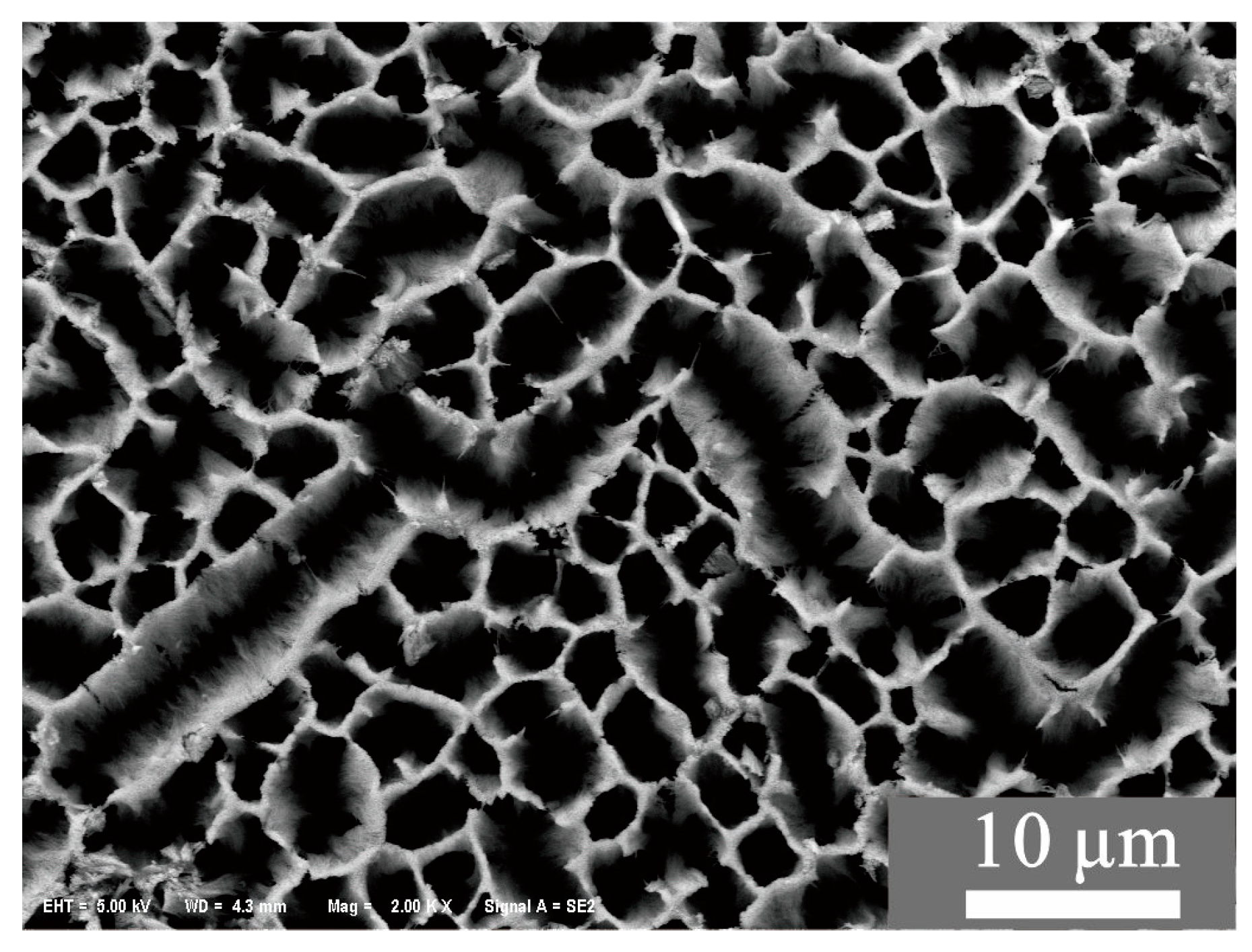 Sensors 23 07587 g001