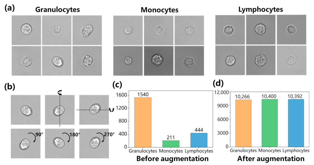 Sensors 23 07605 g001