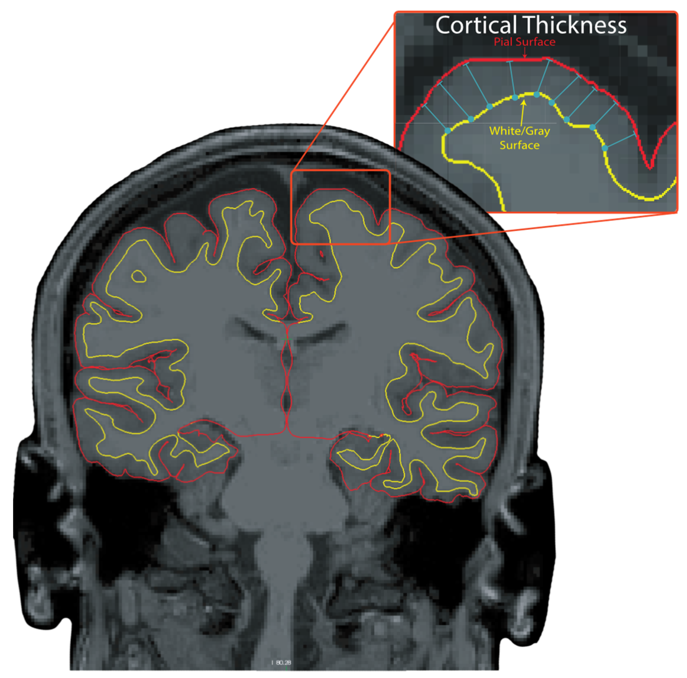 Sensors 23 07629 g002 Sensors 23 07629 g002