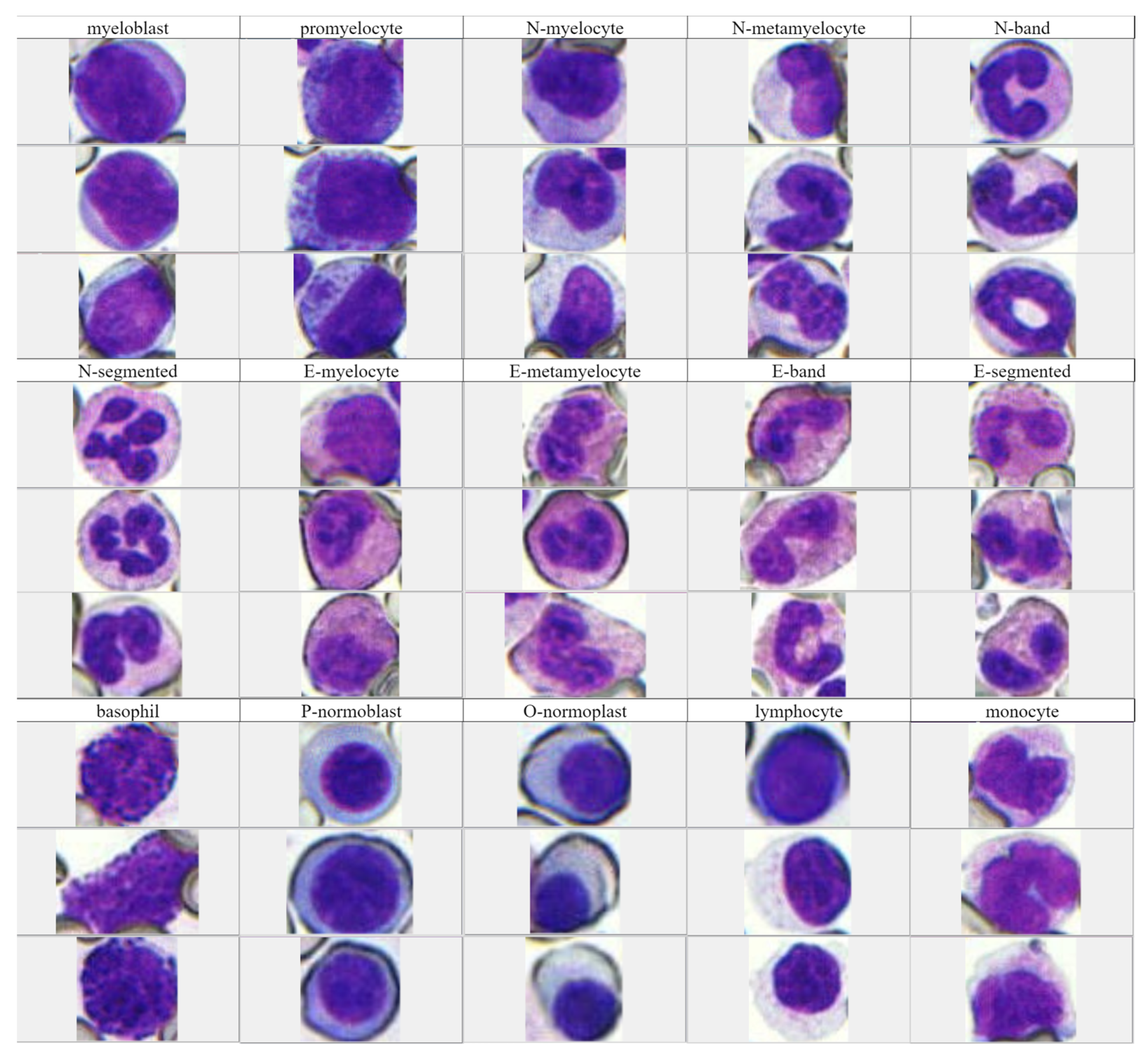 Sensors 23 07640 g002