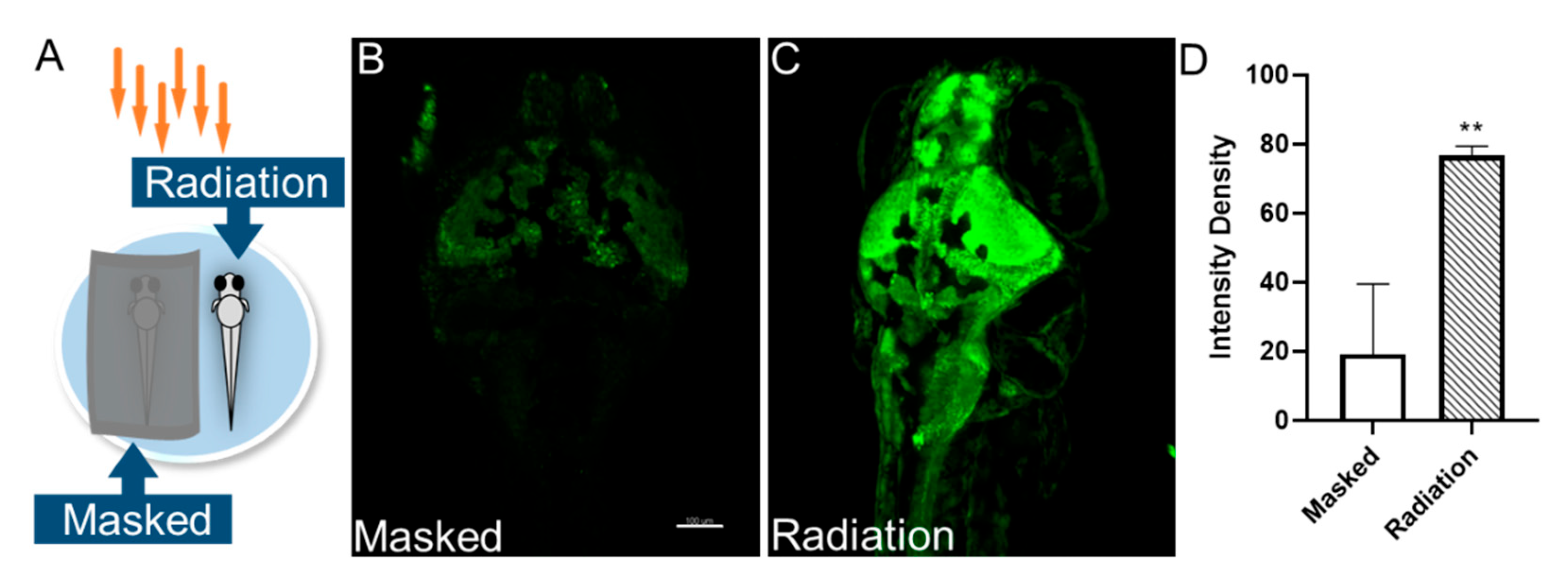 Sensors 23 07689 g004