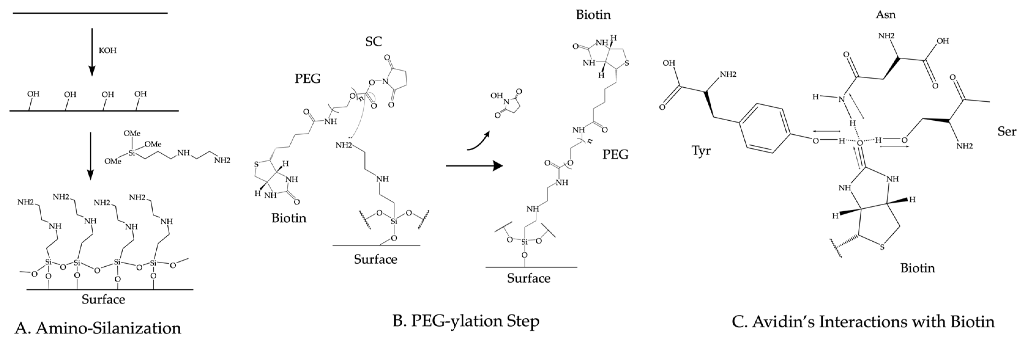 Sensors 23 07691 g003 Sensors 23 07691 g003