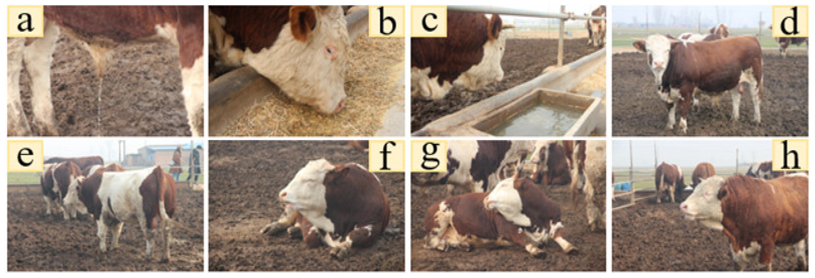 Sensors 23 07714 g010