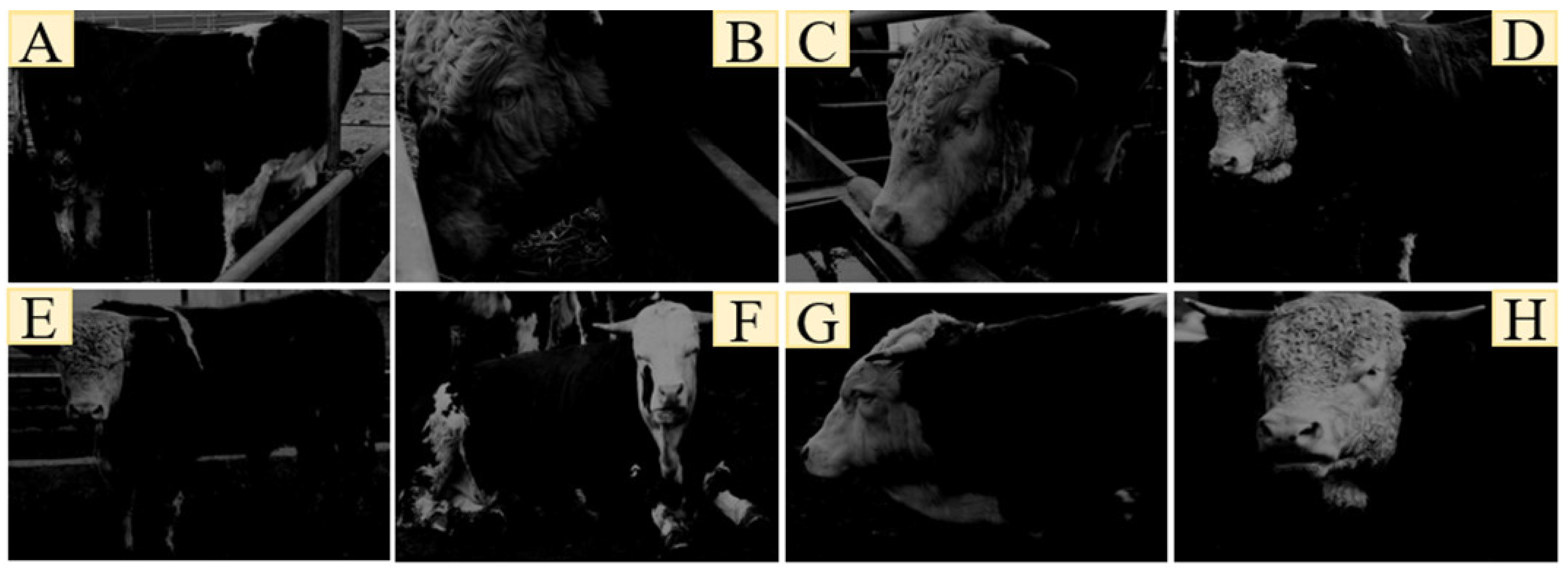 Sensors 23 07714 g011