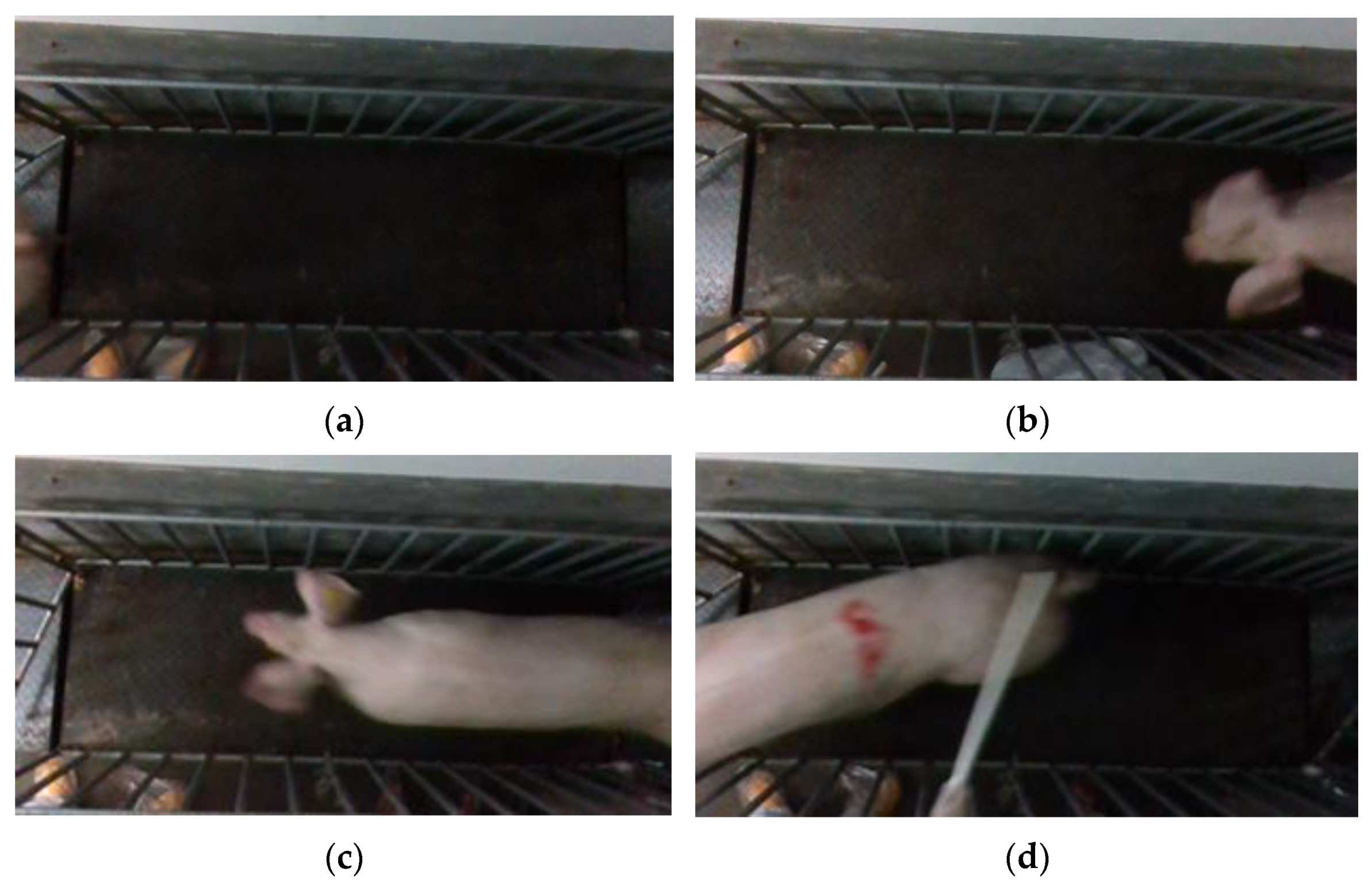 Sensors 23 07730 g006