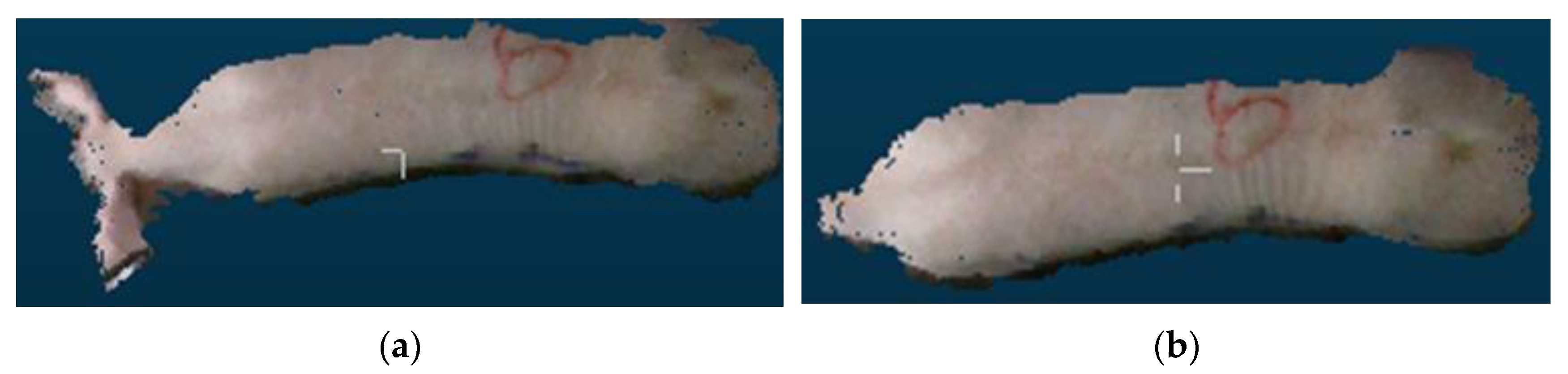 Sensors 23 07730 g012