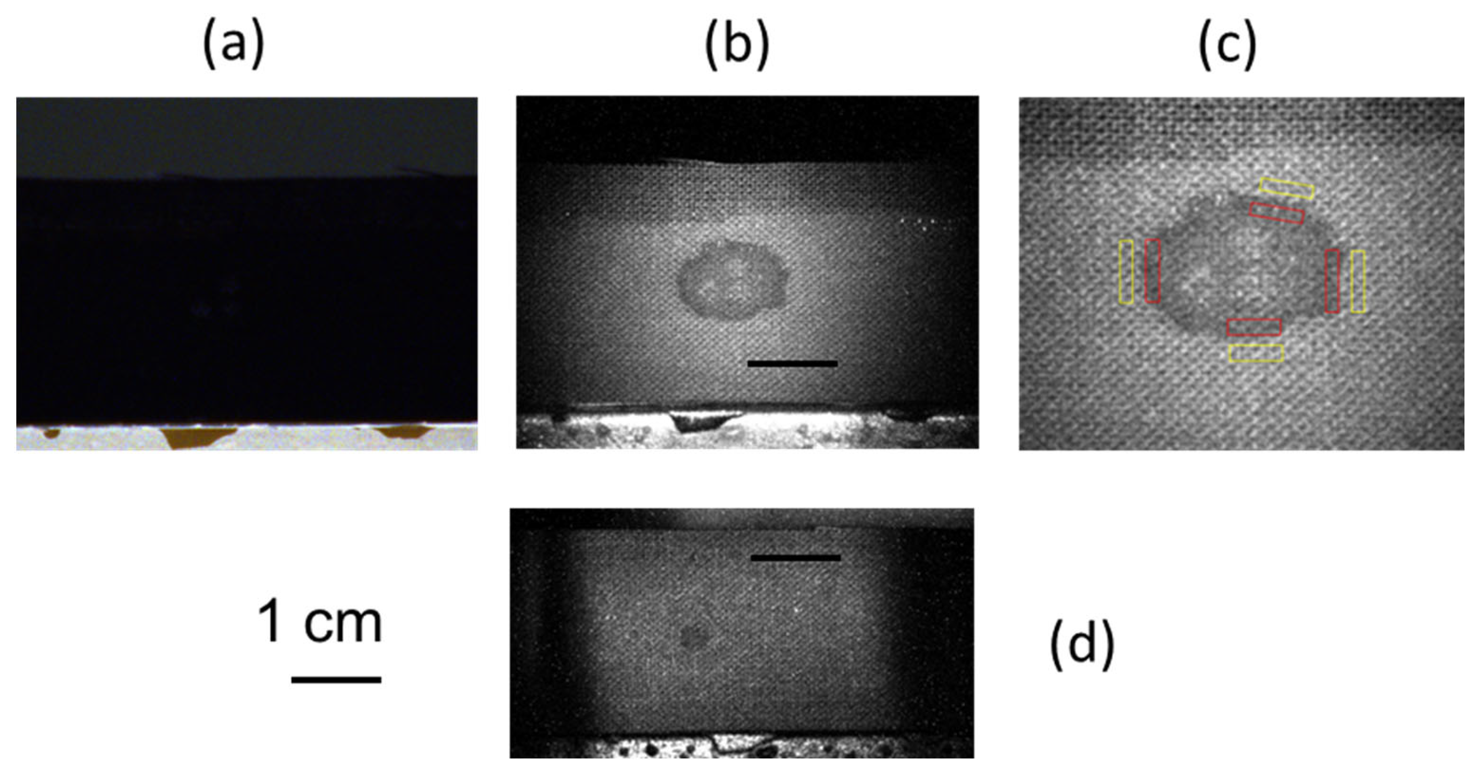 Sensors 23 07736 g011