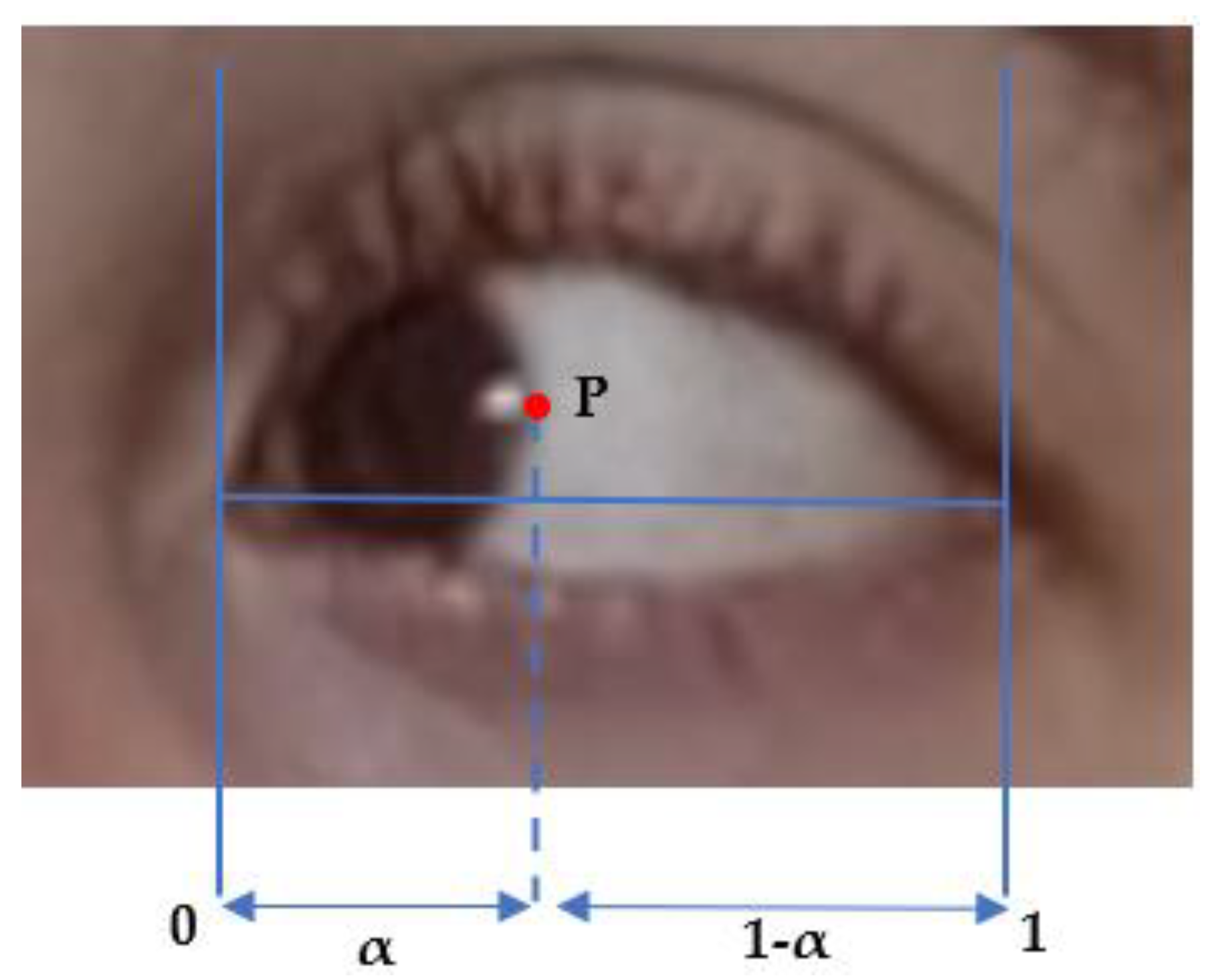 Sensors 23 07744 g008