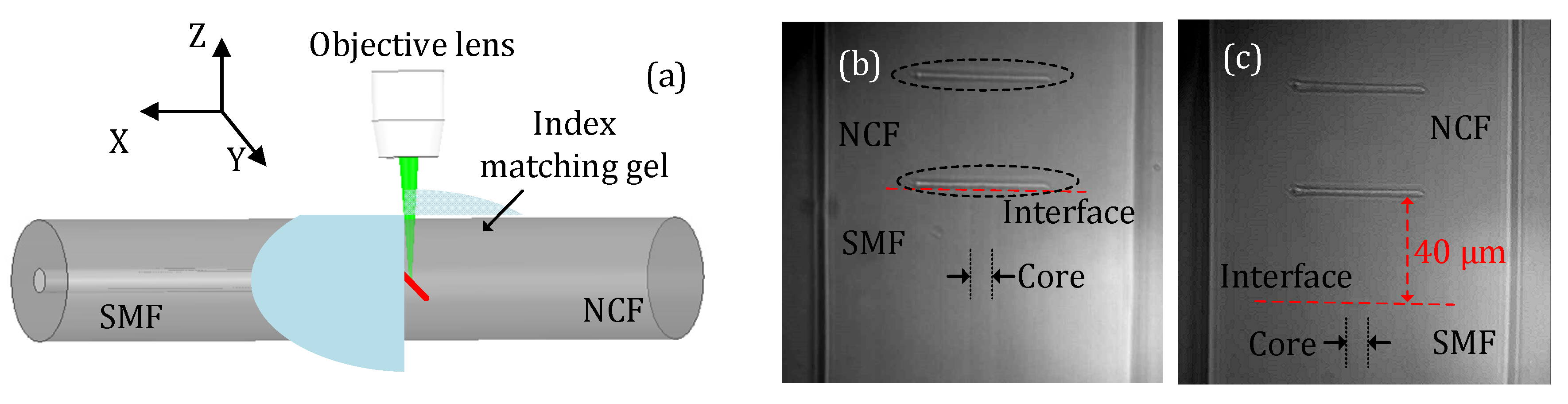 Sensors 23 07754 g001