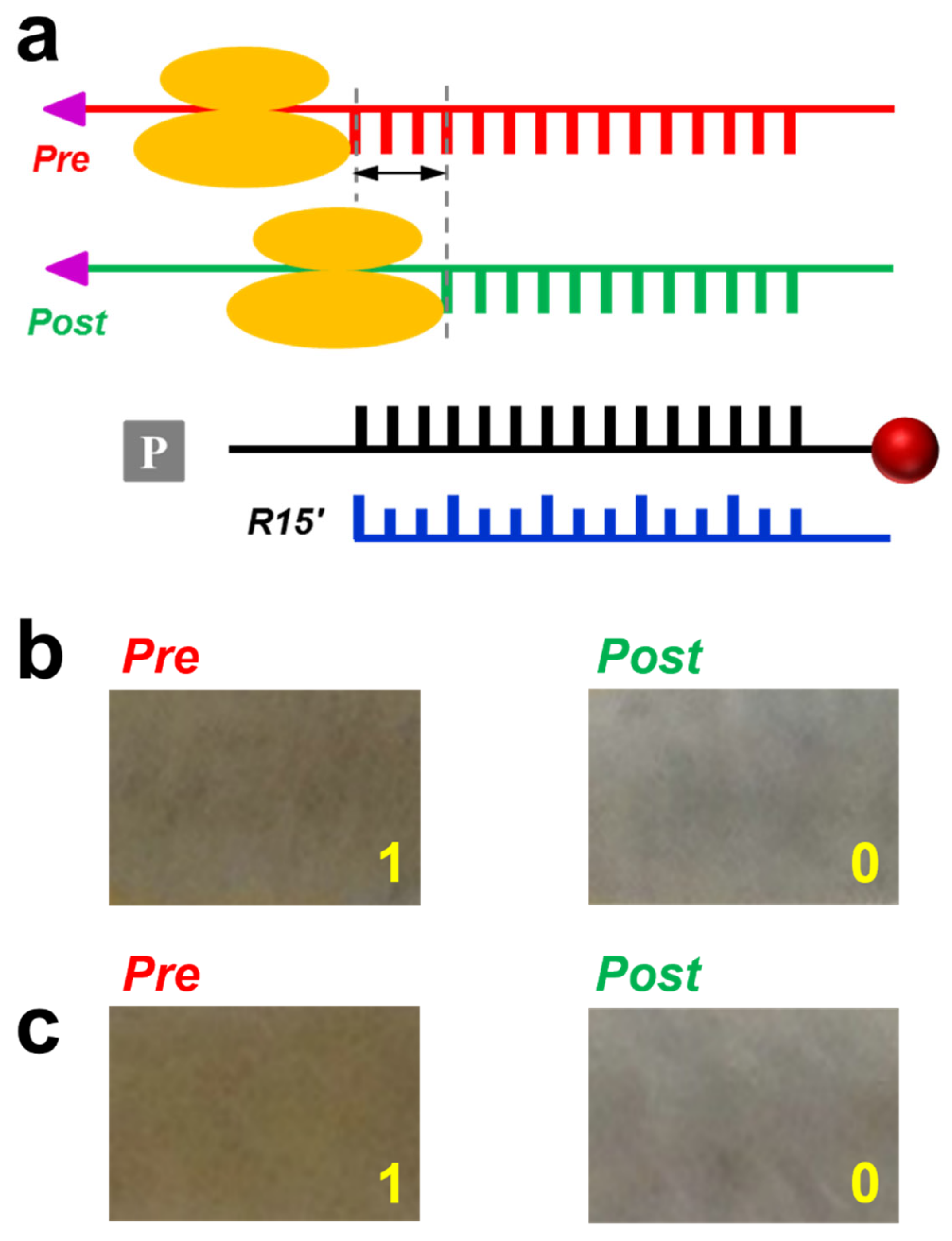Sensors 23 07762 g003