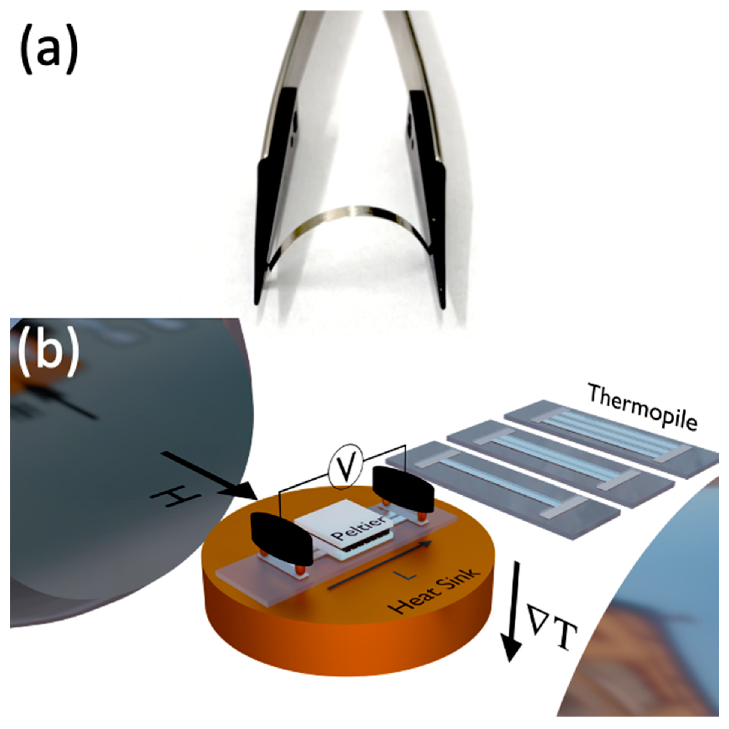Sensors 23 07781 g001