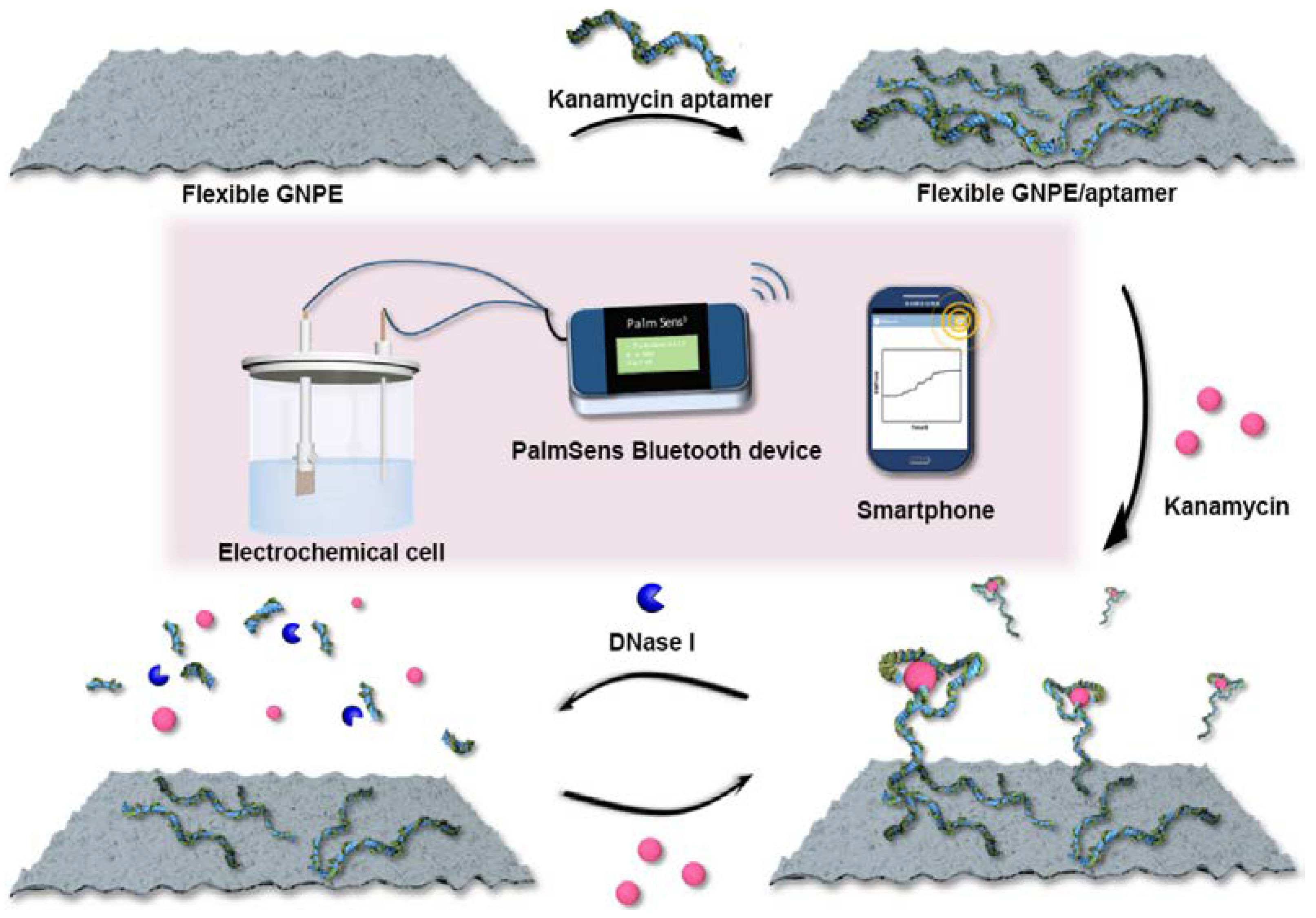 Sensors 23 07786 g008