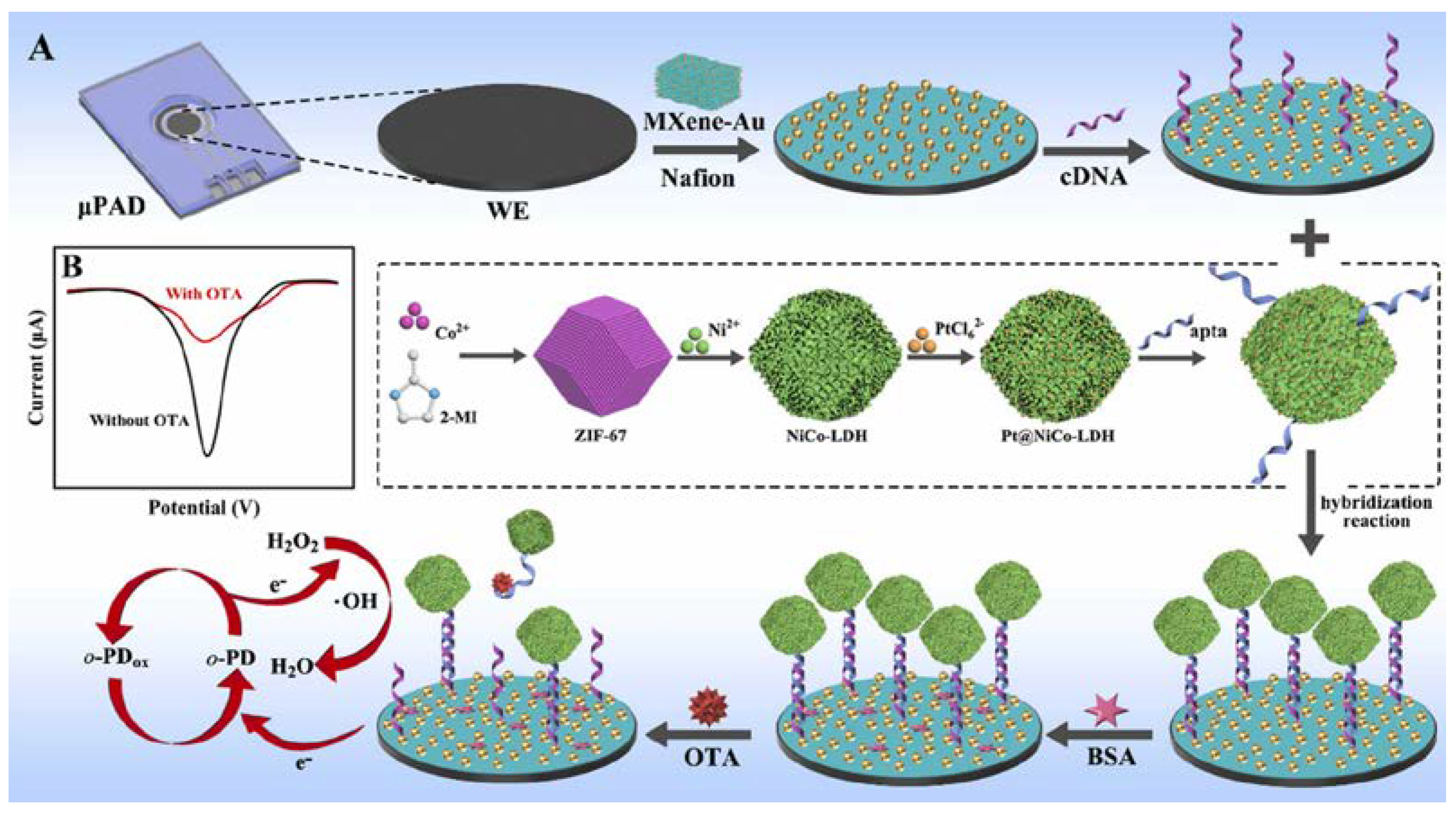 Sensors 23 07786 g009