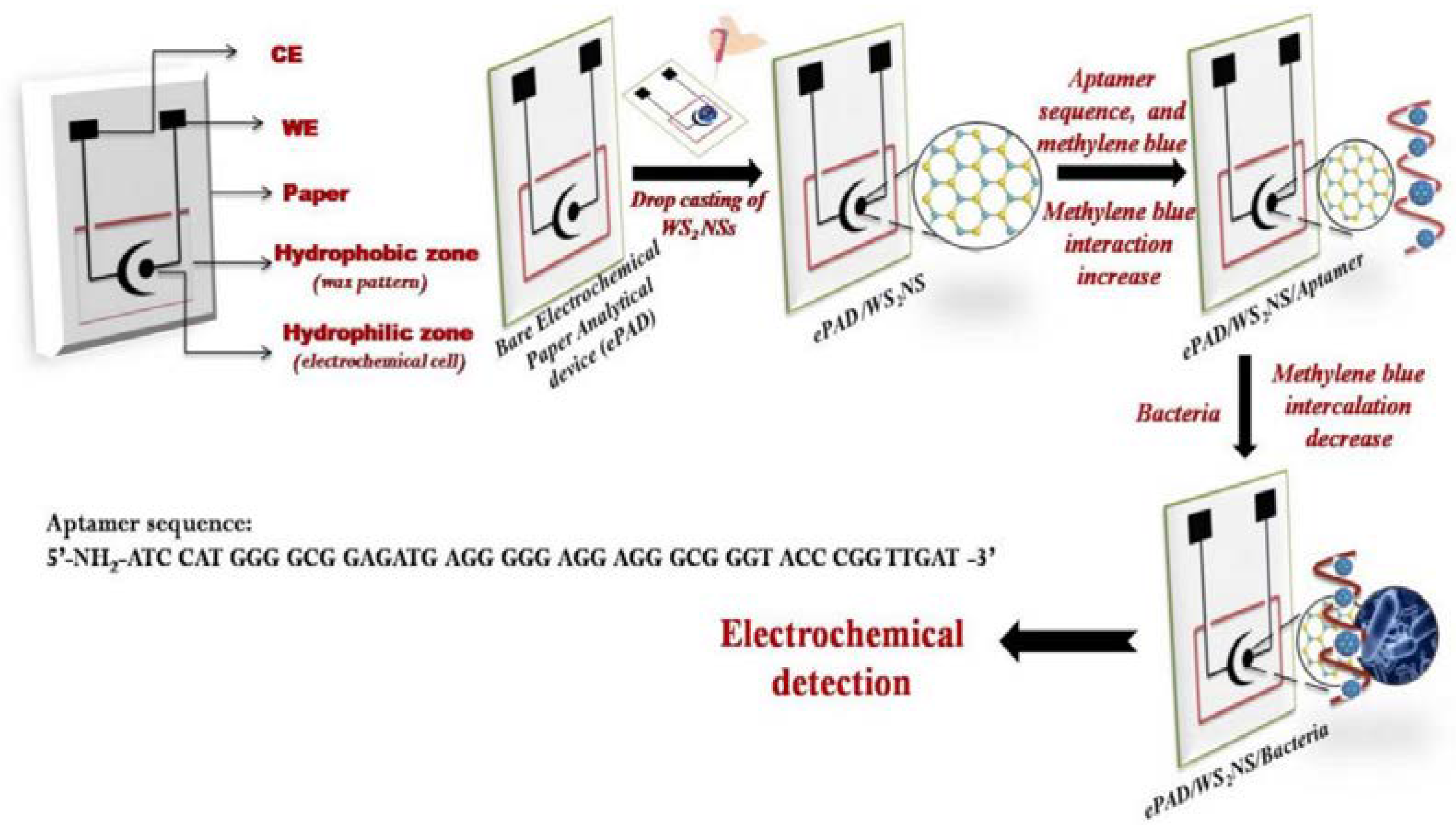 Sensors 23 07786 g013