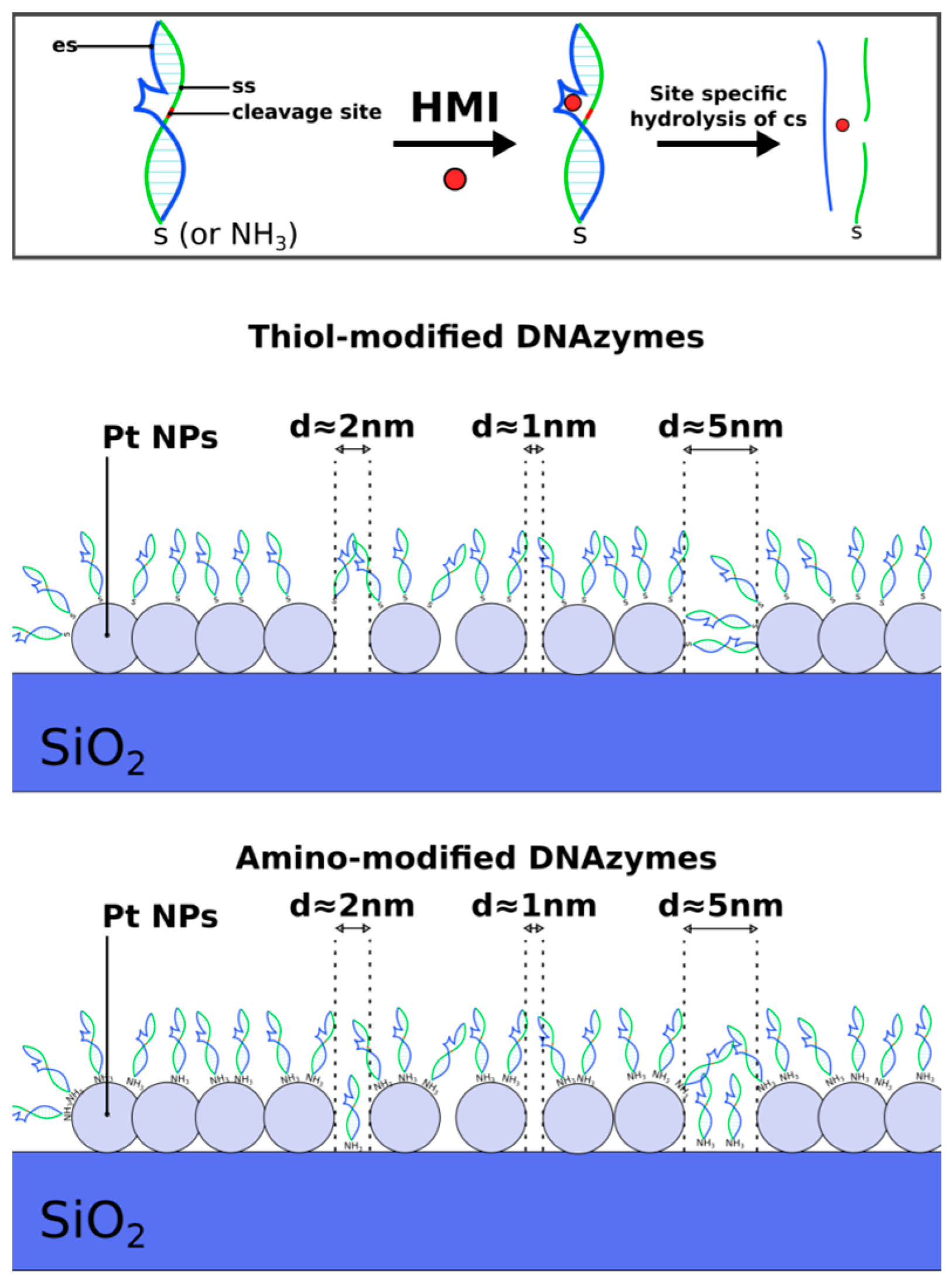 Sensors 23 07818 g007