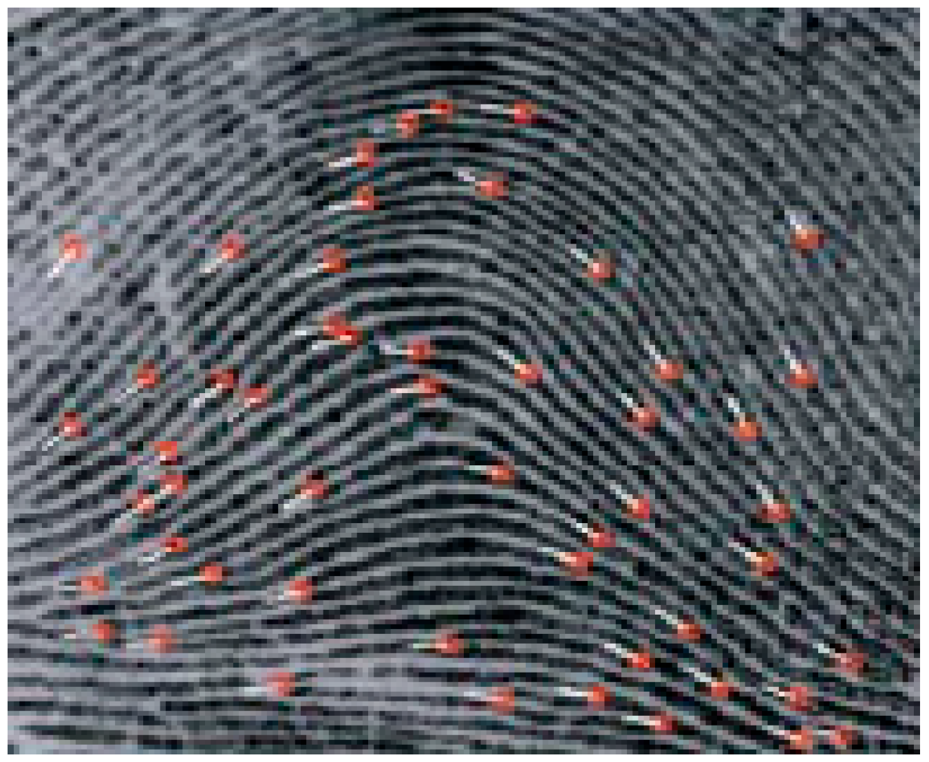 Sensors 23 07843 g001