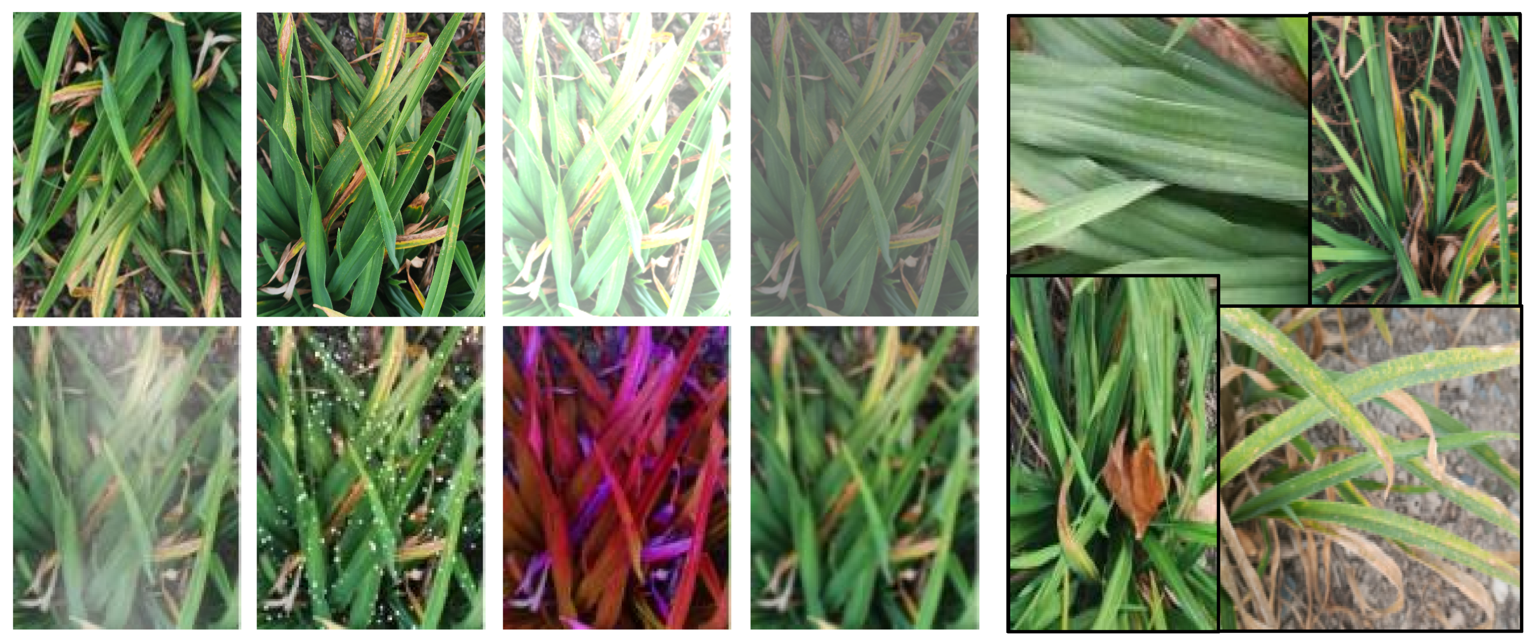 Sensors 23 07879 g014