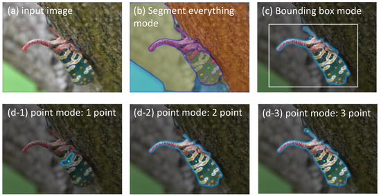 Enhancing Agricultural Image Segmentation with an Agricultural Segment ...