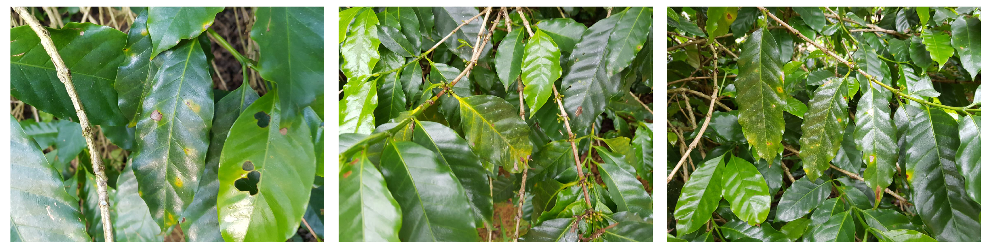 Sensors 23 07884 g006