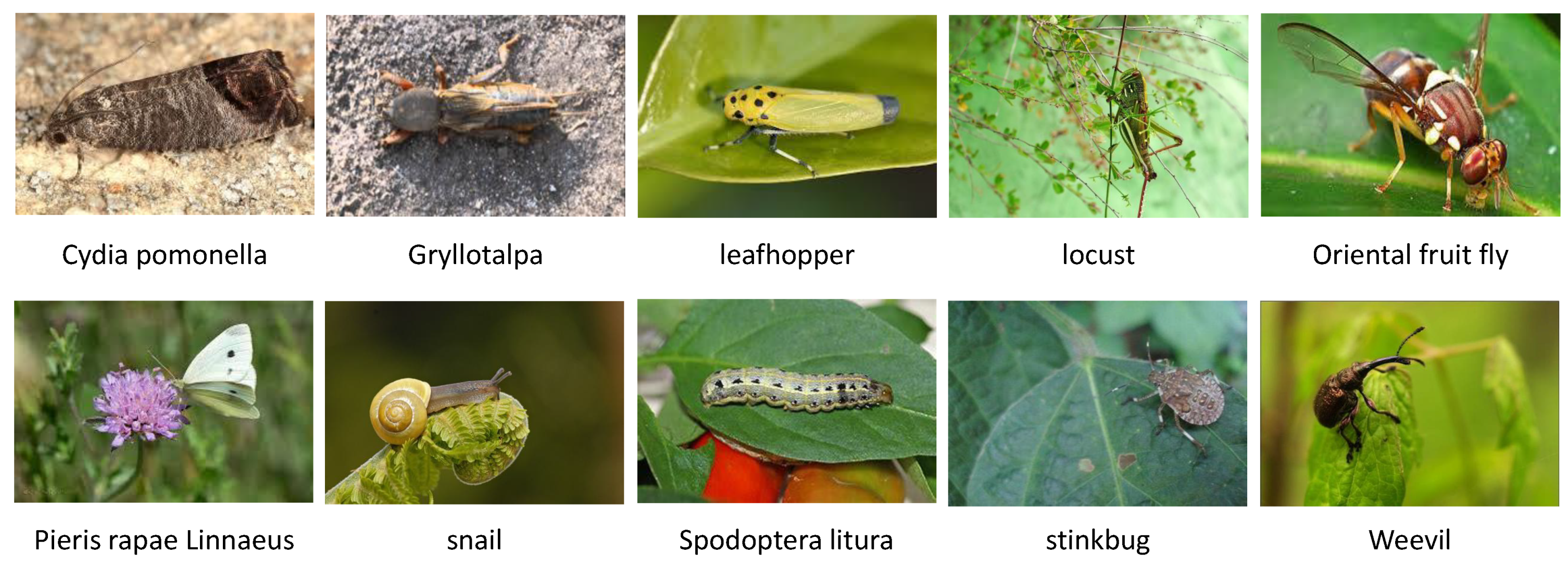 Sensors 23 07884 g007