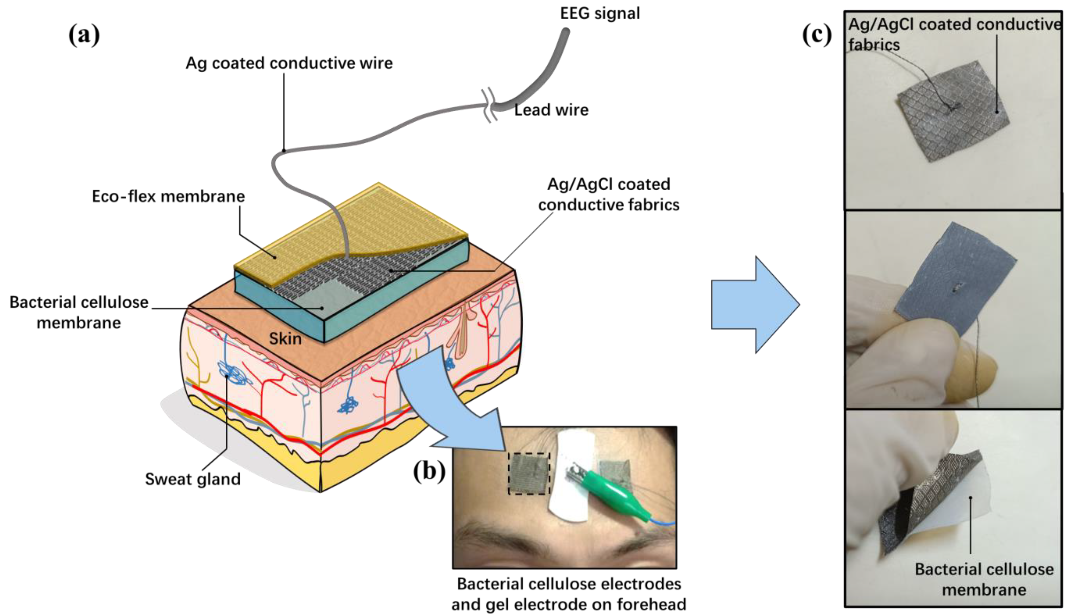 Sensors 23 07887 g001