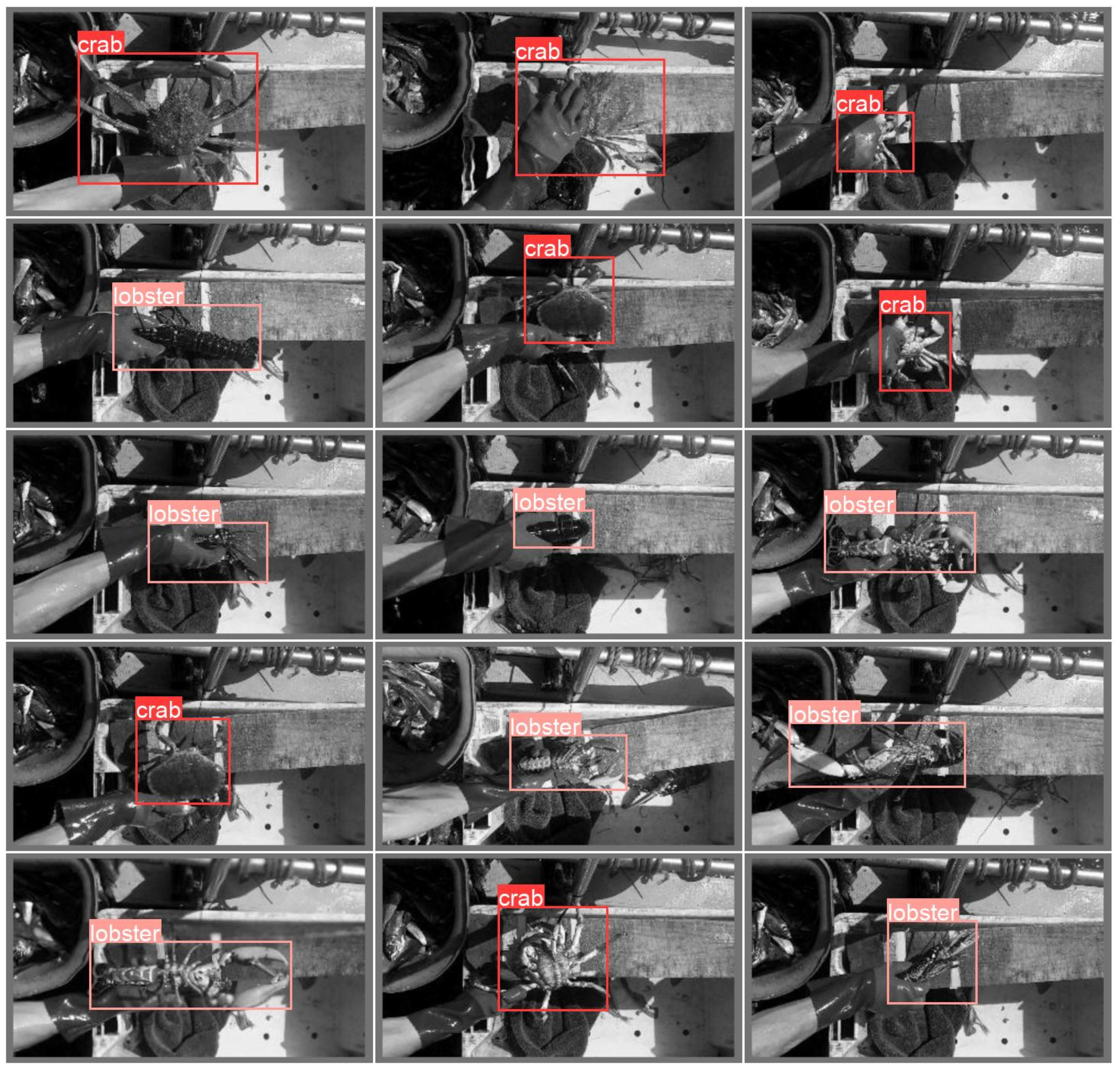 Sensors 23 07897 g012