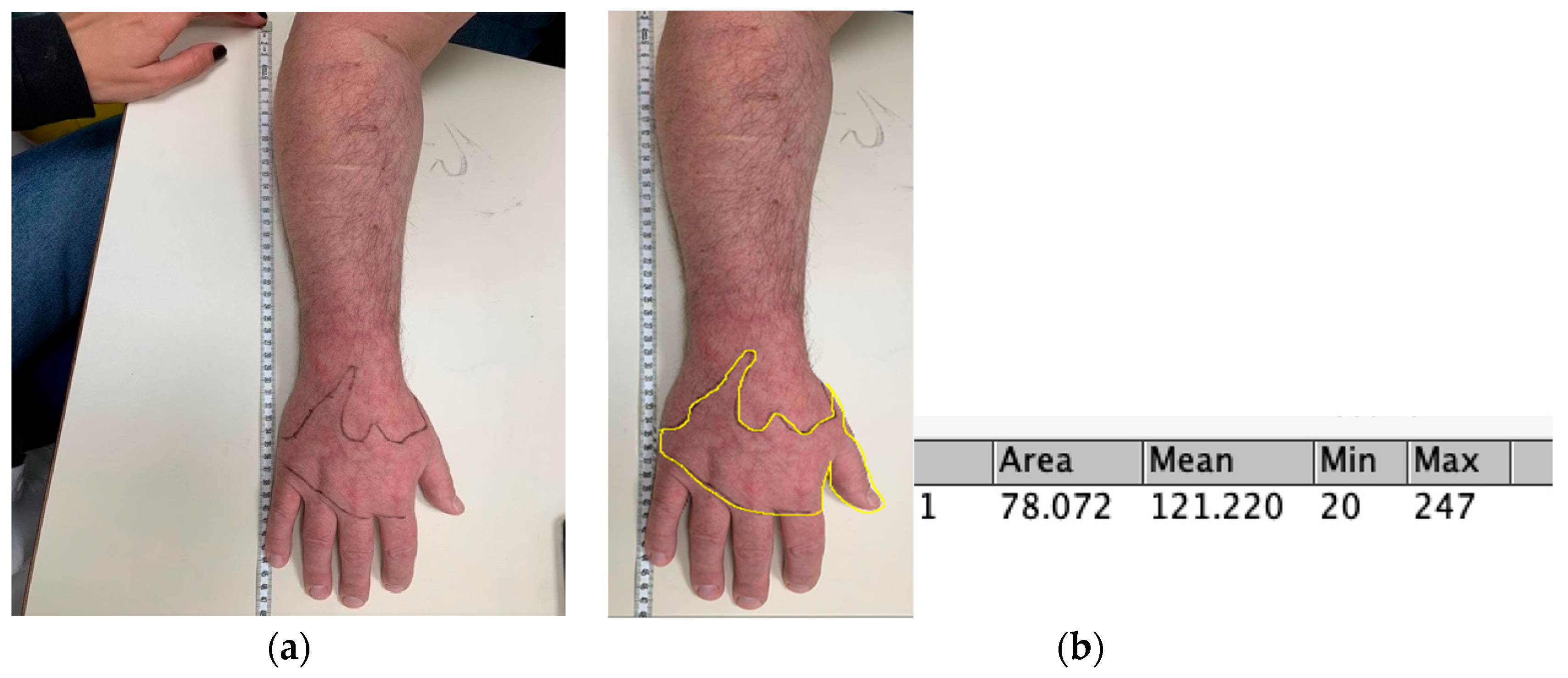 Sensors 23 07949 g001