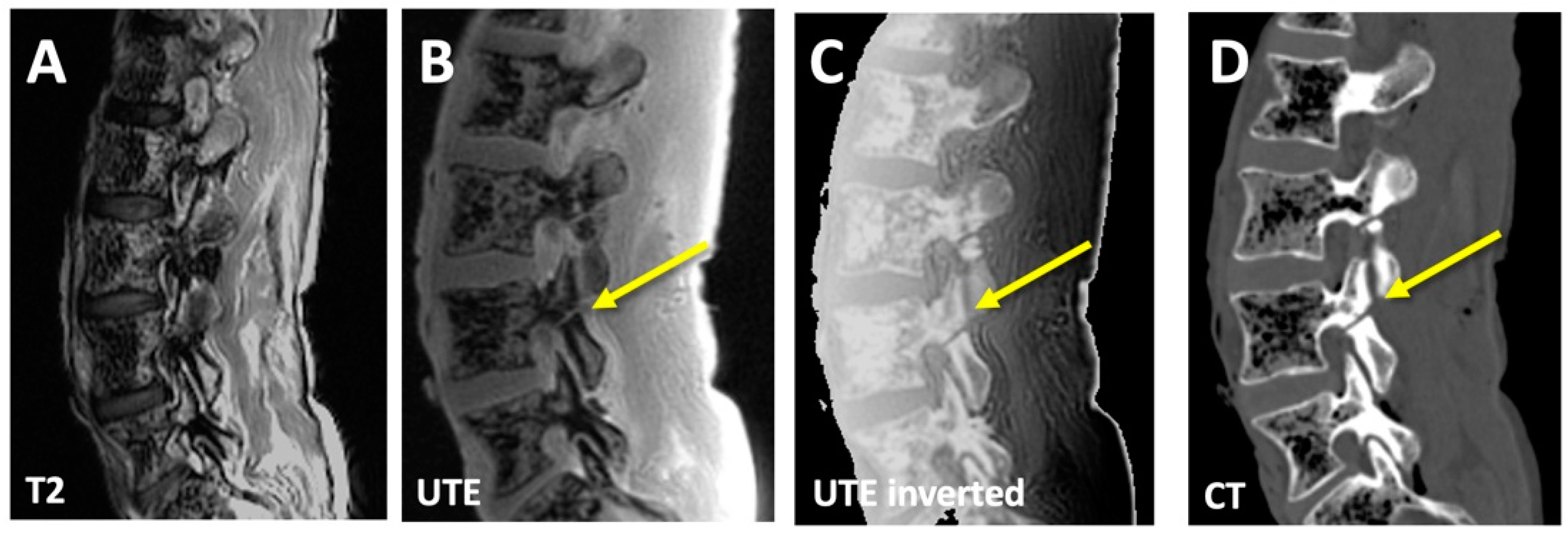 Sensors 23 08001 g002