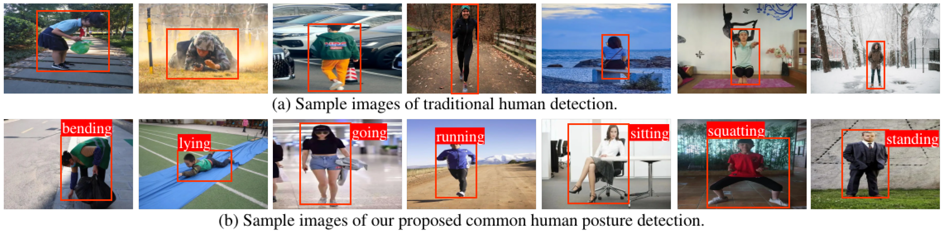 Identification of Human Common [IMAGE]