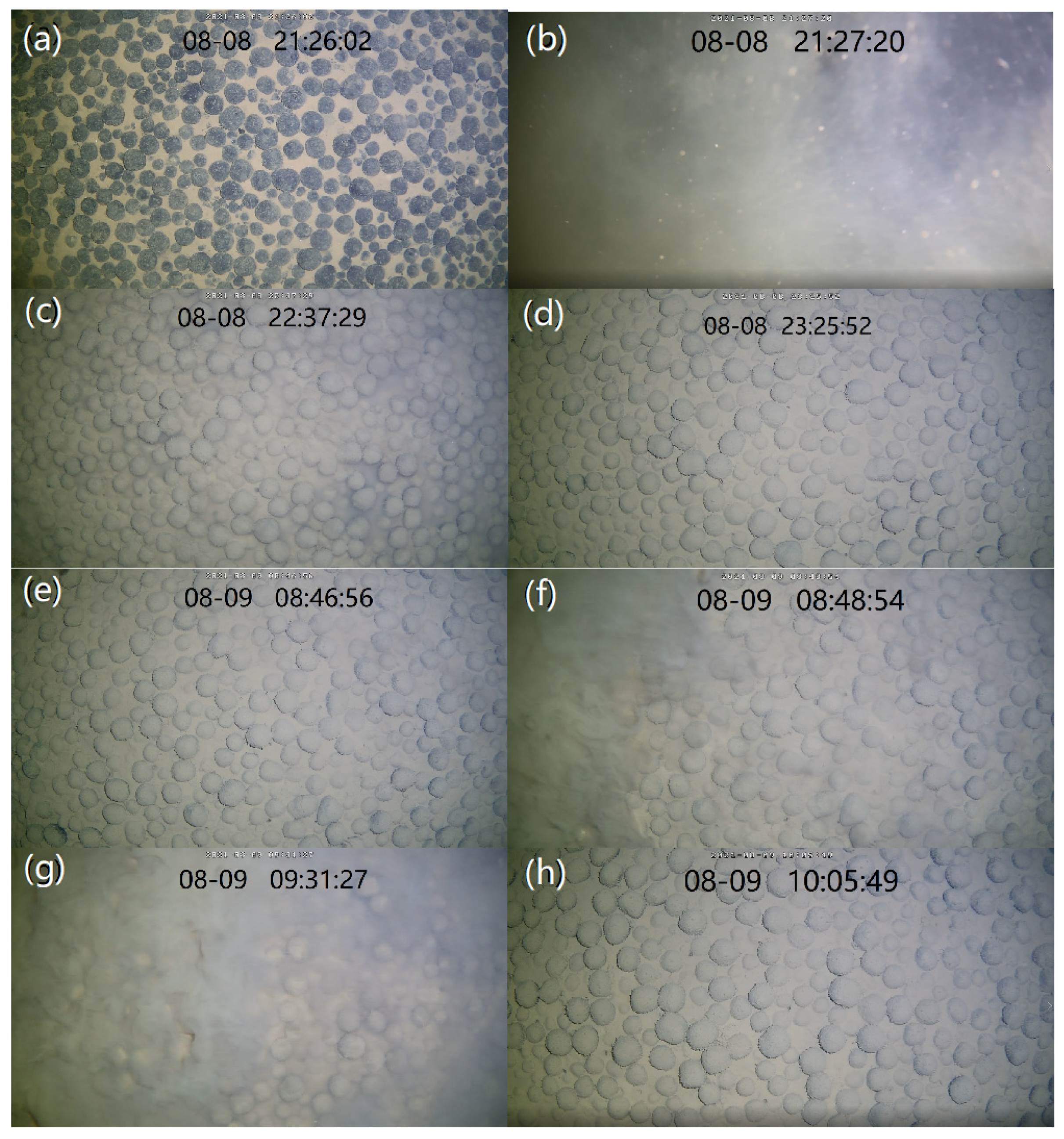 Sensors 23 08110 g006