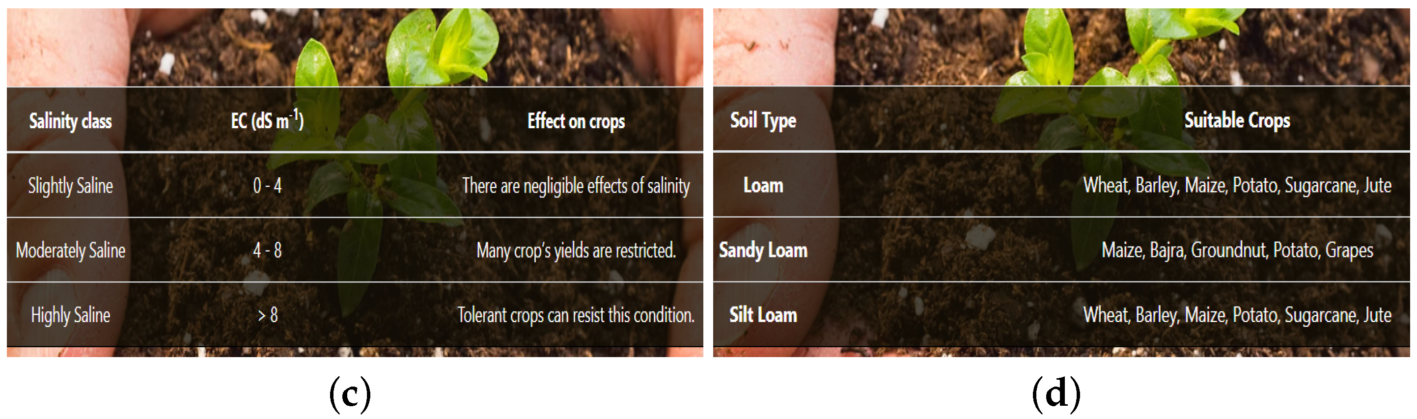 Sensors 23 08121 g009b