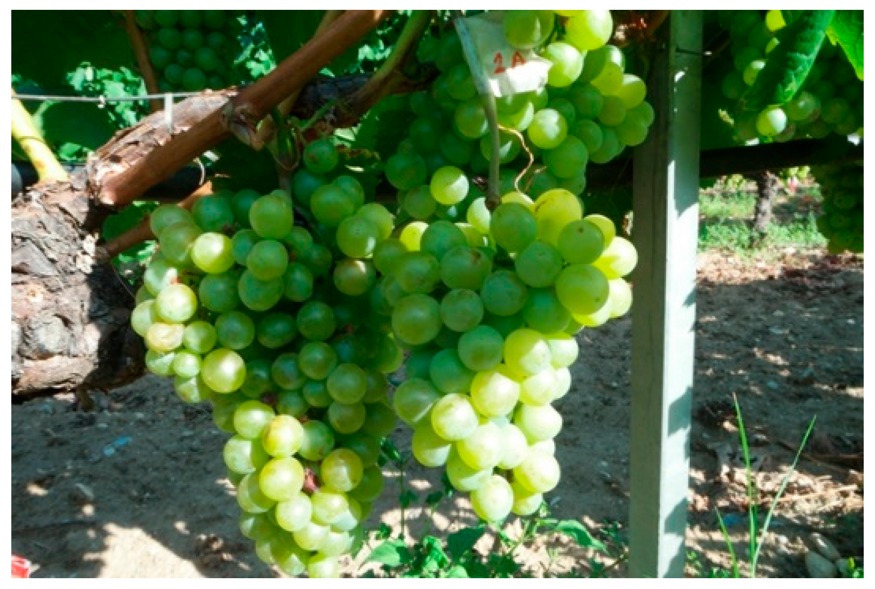 Sensors 23 08126 g001