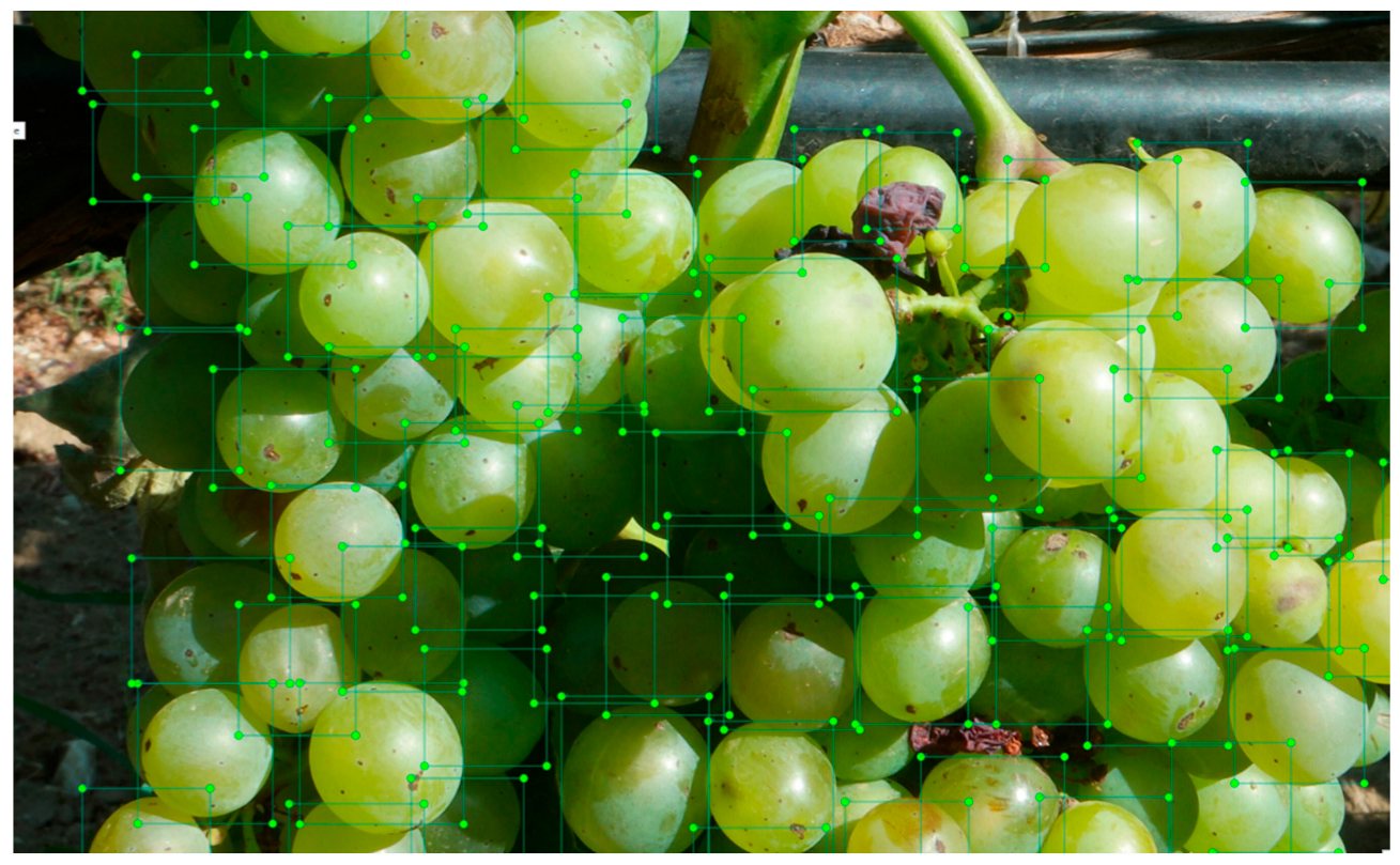 Sensors 23 08126 g003